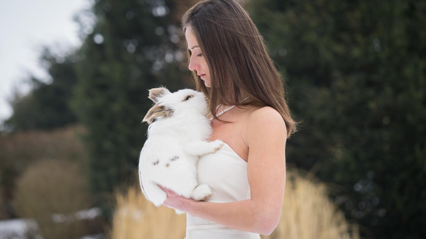 Girl With Rabbit 5k 1366x768 Resolution HD 4k Wallpaper