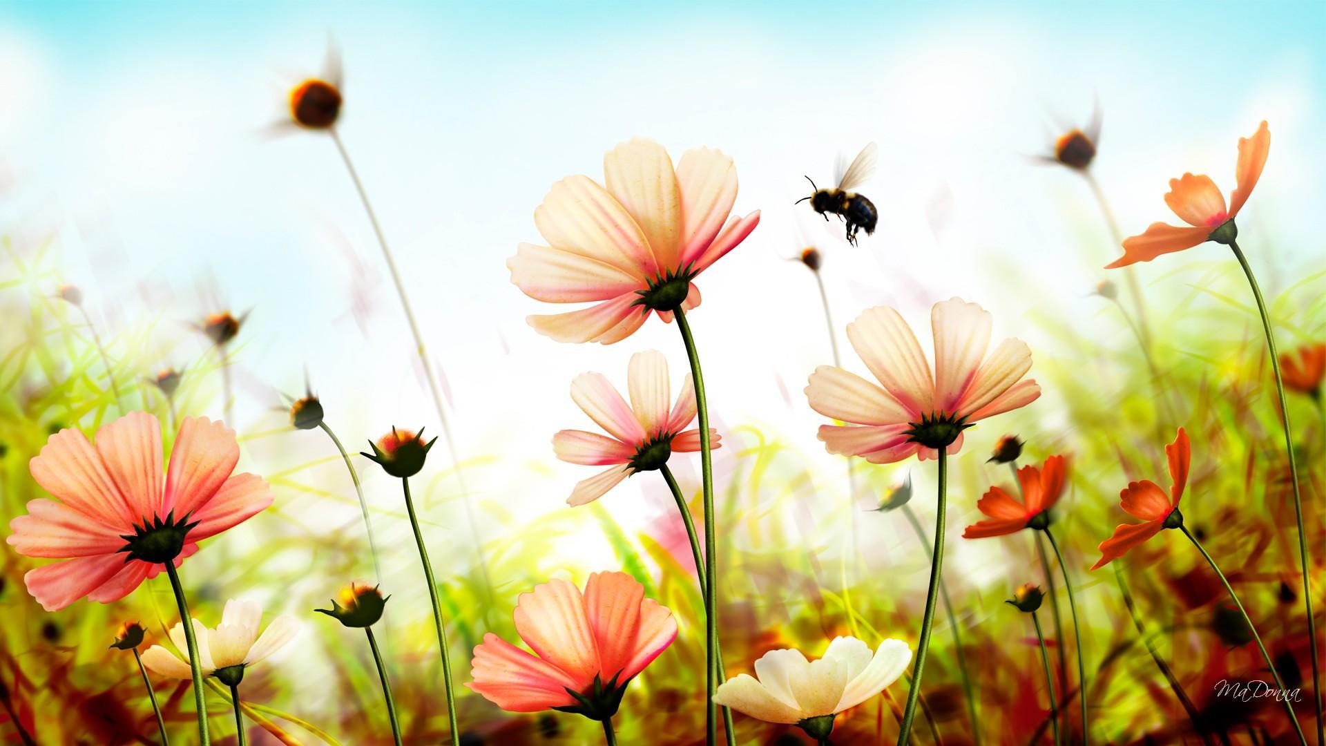 Summer Flowers Desktop Wallpaper