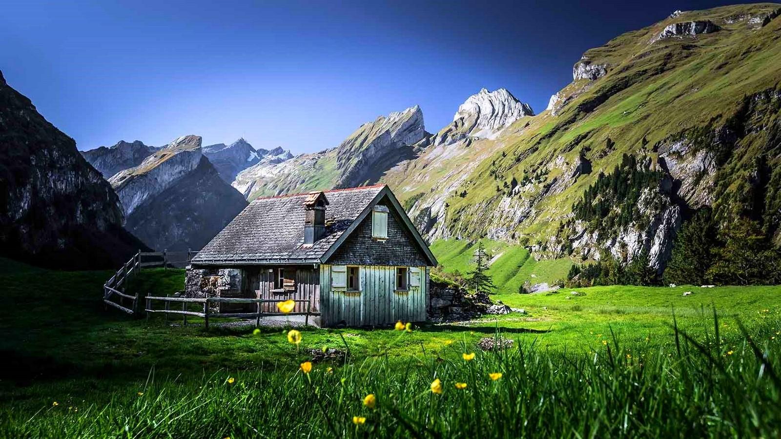 #cabin, #nature, #summer, #wildflowers, #fence, #mountains