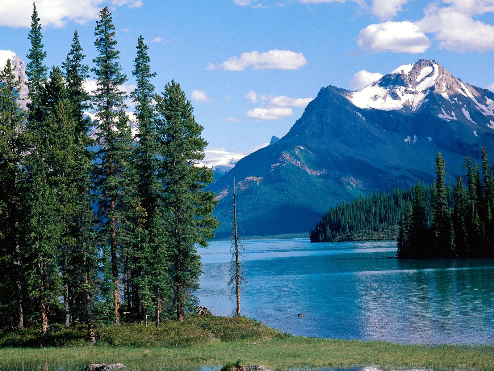 Download photo Maligne Lake Jasper National Park Alberta Canada
