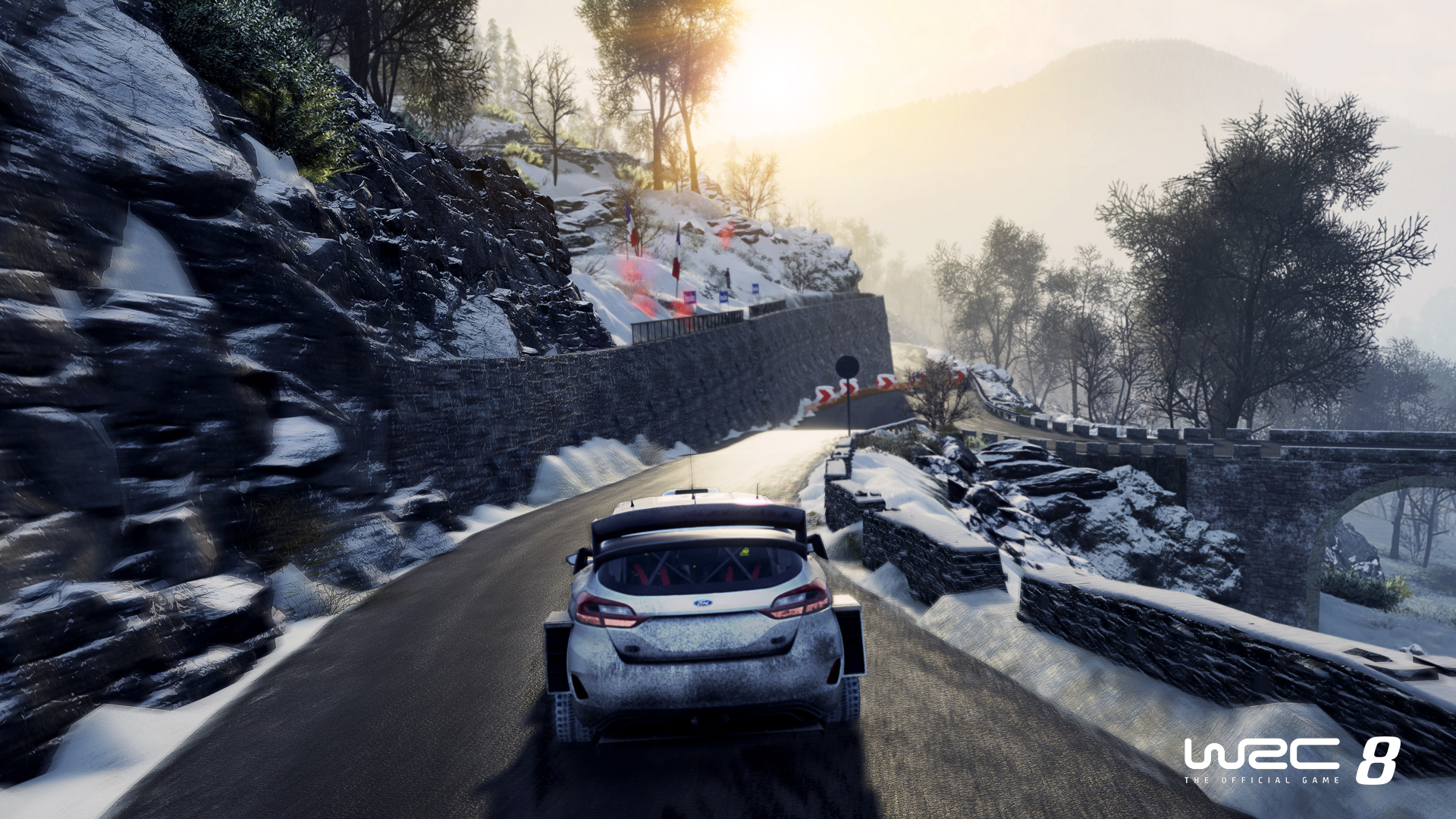 WRC 8 Career Mode Is Cooler And More Challenging Than Ever Picture