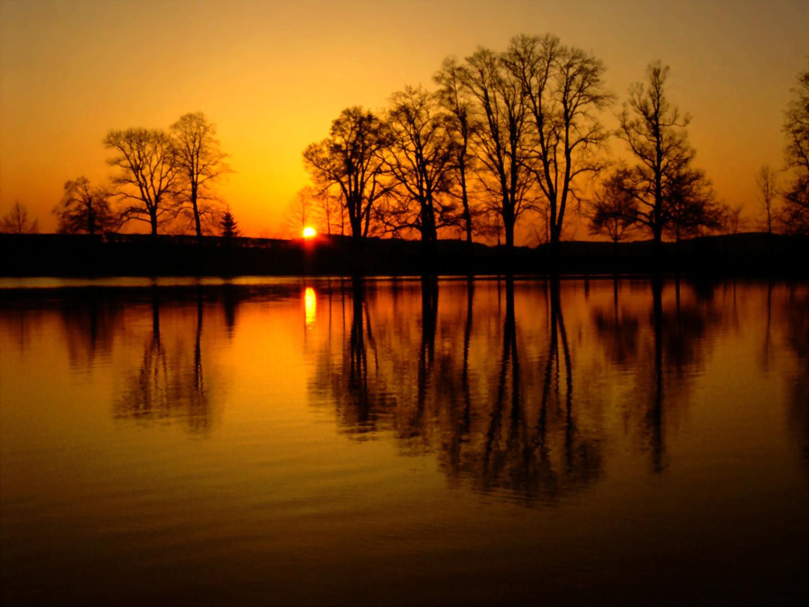 Sunset Lake Trees Landscape Reflection Image wallpaper