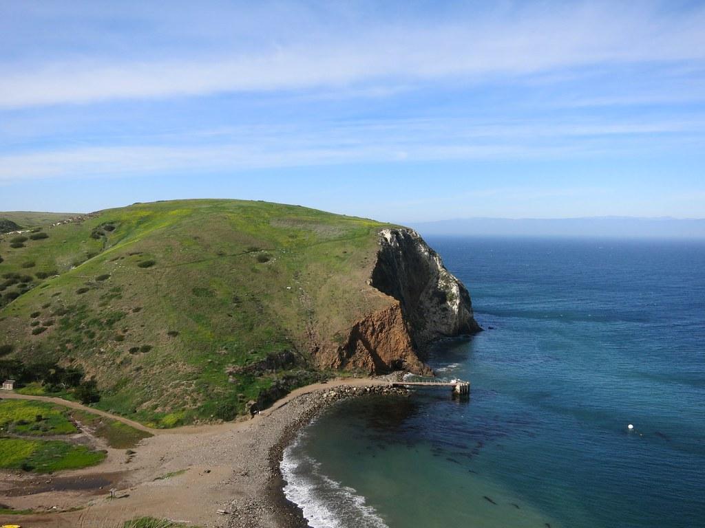 Giant Coreopsis Anacapa Island Wallpapers - Wallpaper Cave