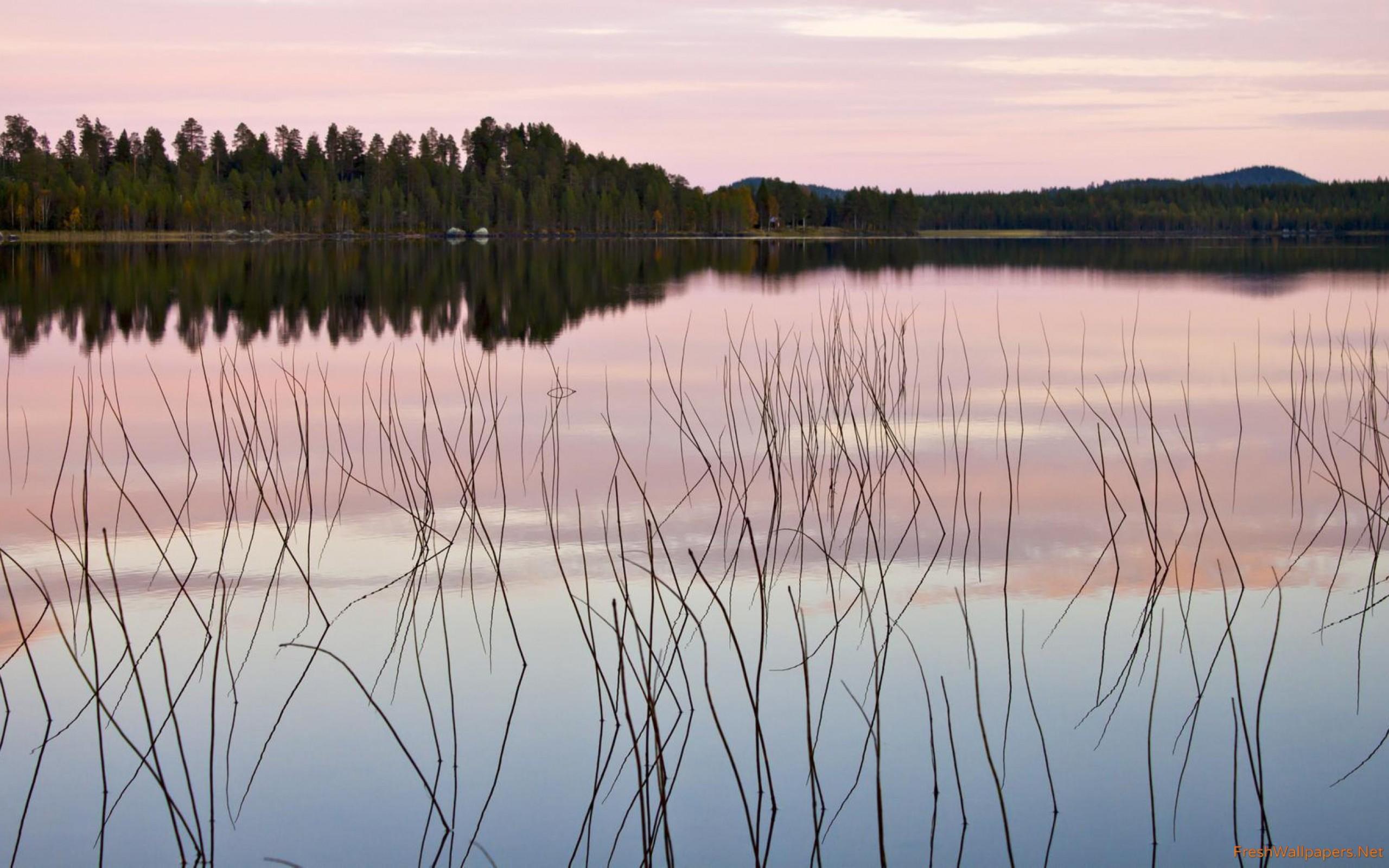 Pale purple sunset reflecting in the lake wallpaper