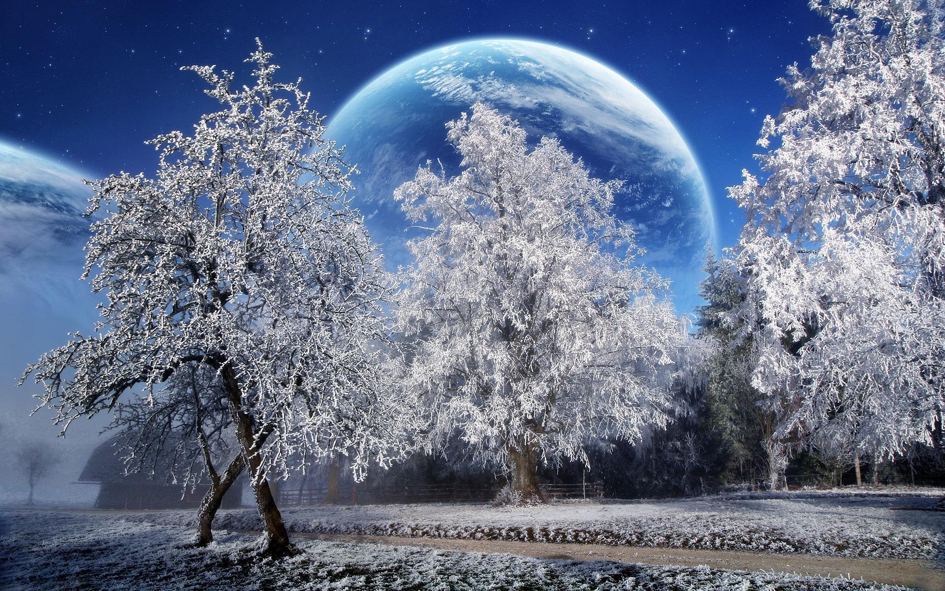 A Beautiful Winter With A Big Moon wallpaper Collection