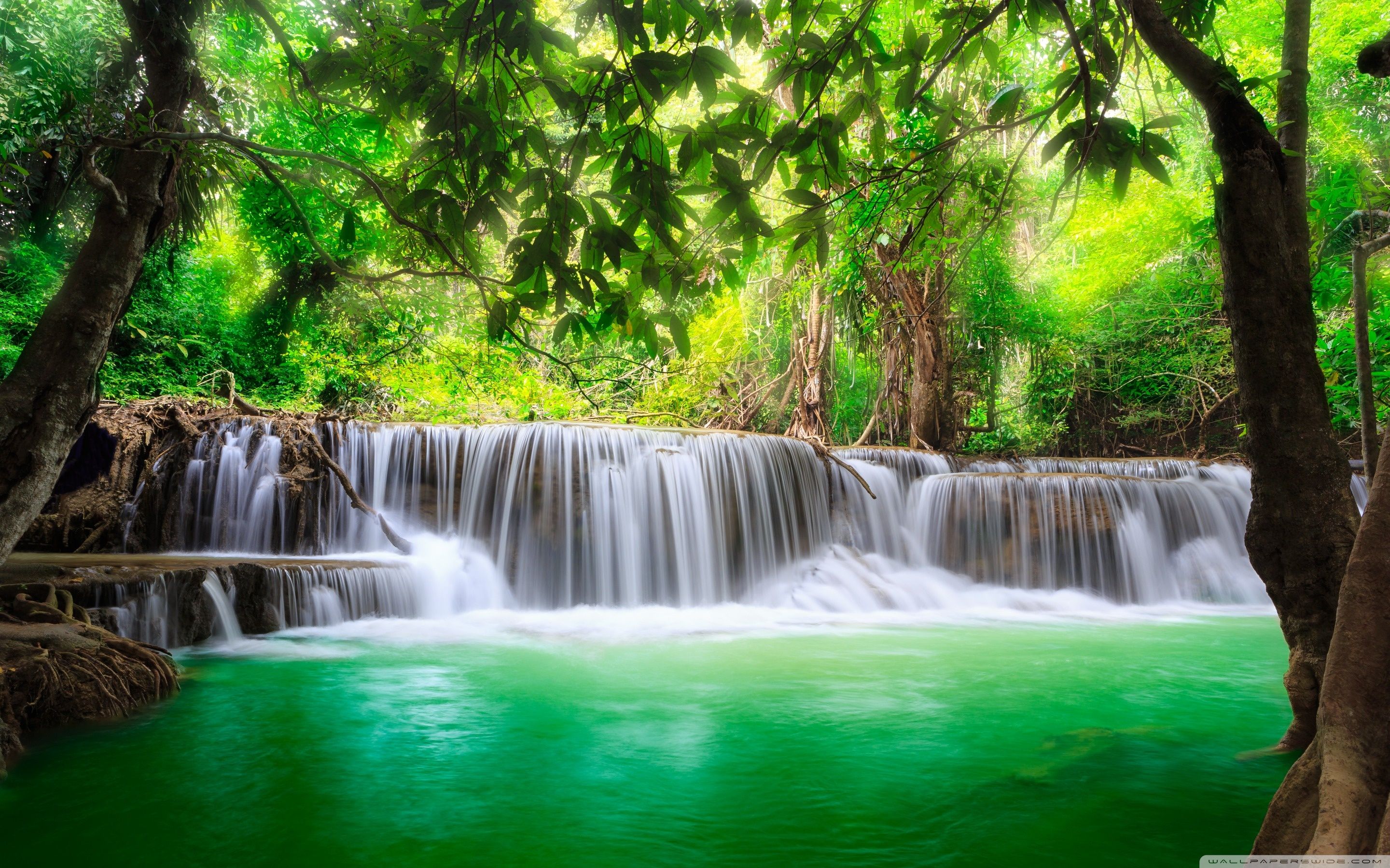 Bamboo Waterfall Wallpapers Wallpaper Cave