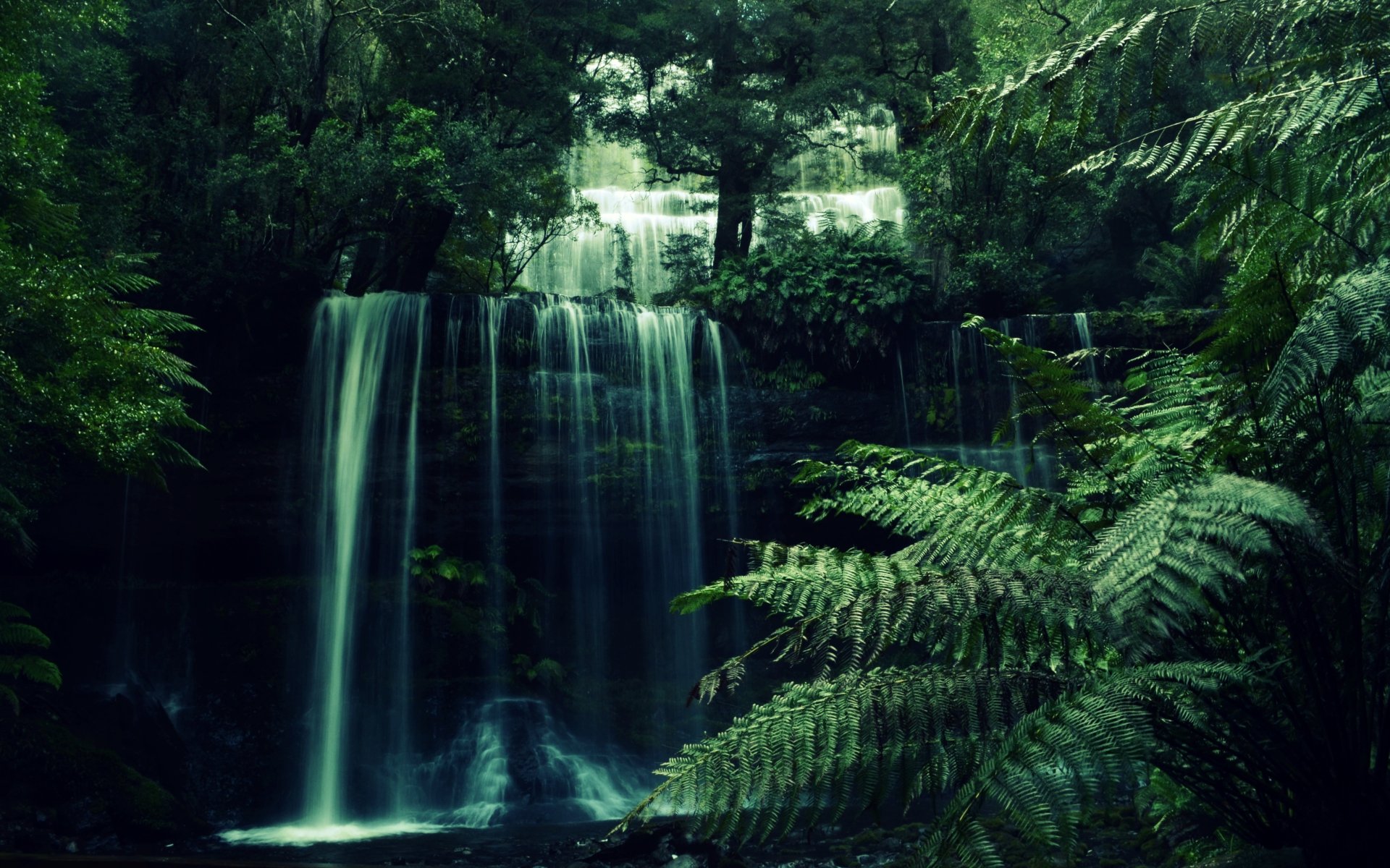 Forest Waterfall Wallpaperx1200