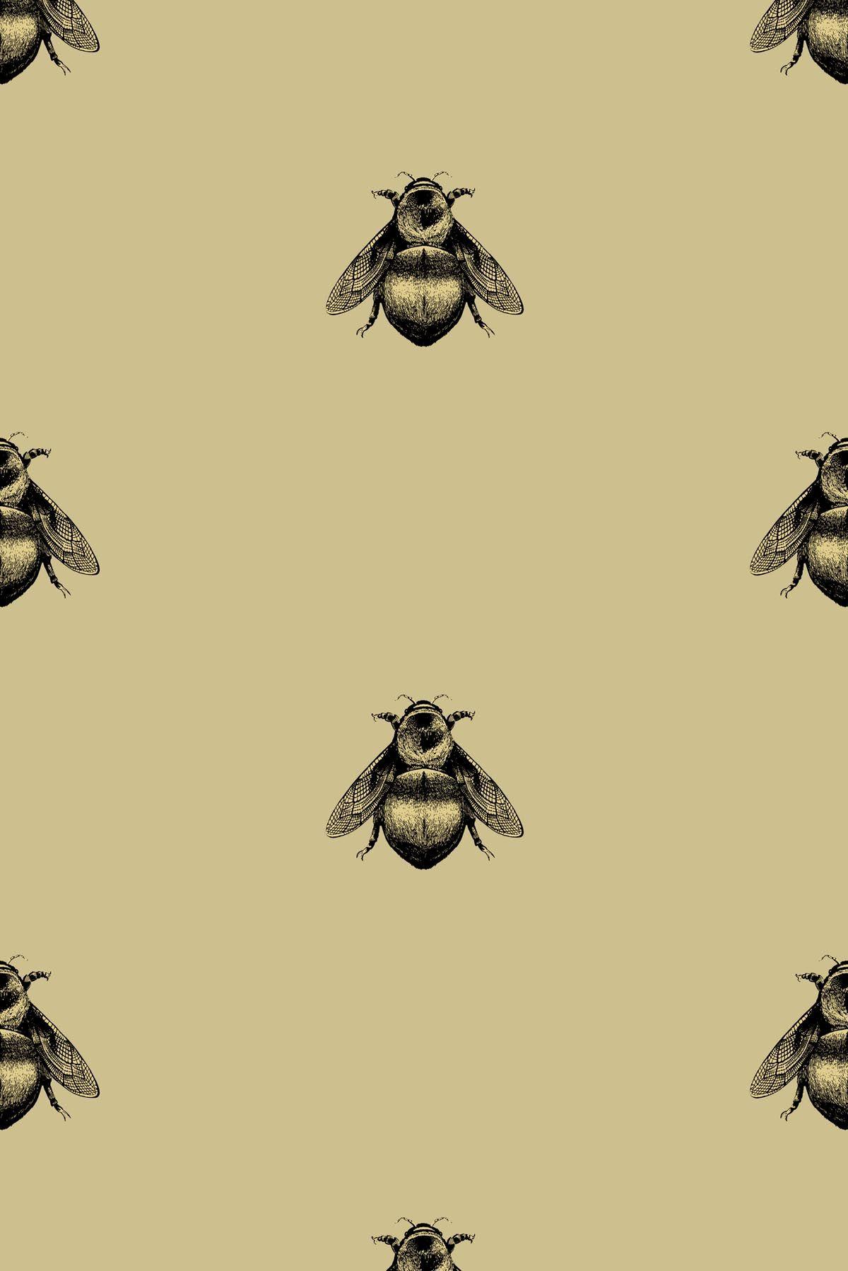 gucci bee wallpaper