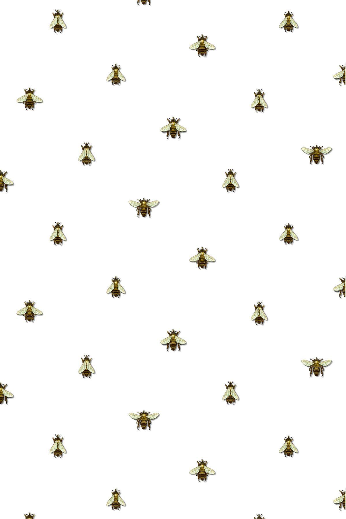 Bee wallpaper Gallery