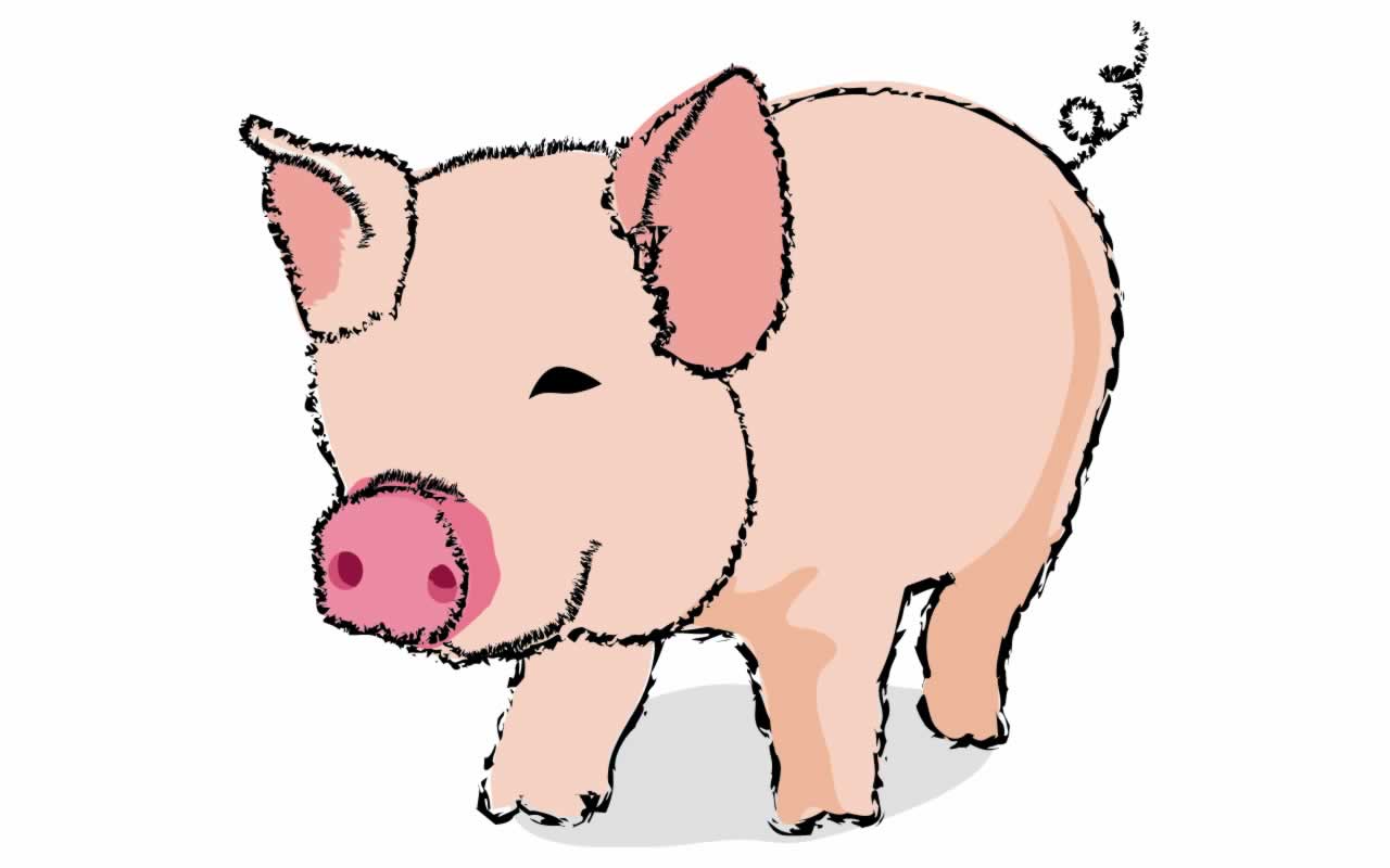 Free Pig Cartoon, Download Free