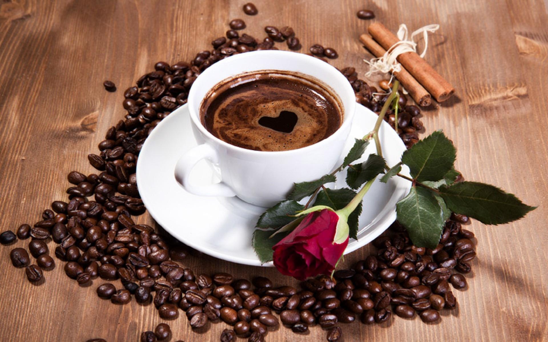Coffee Cup Coffee Beans Rose , Image, HD