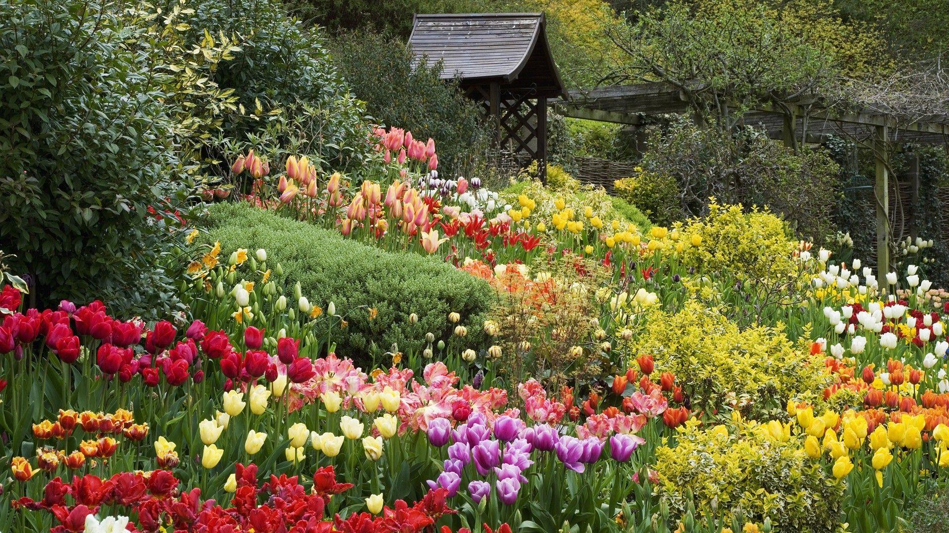 free wallpaper spring garden