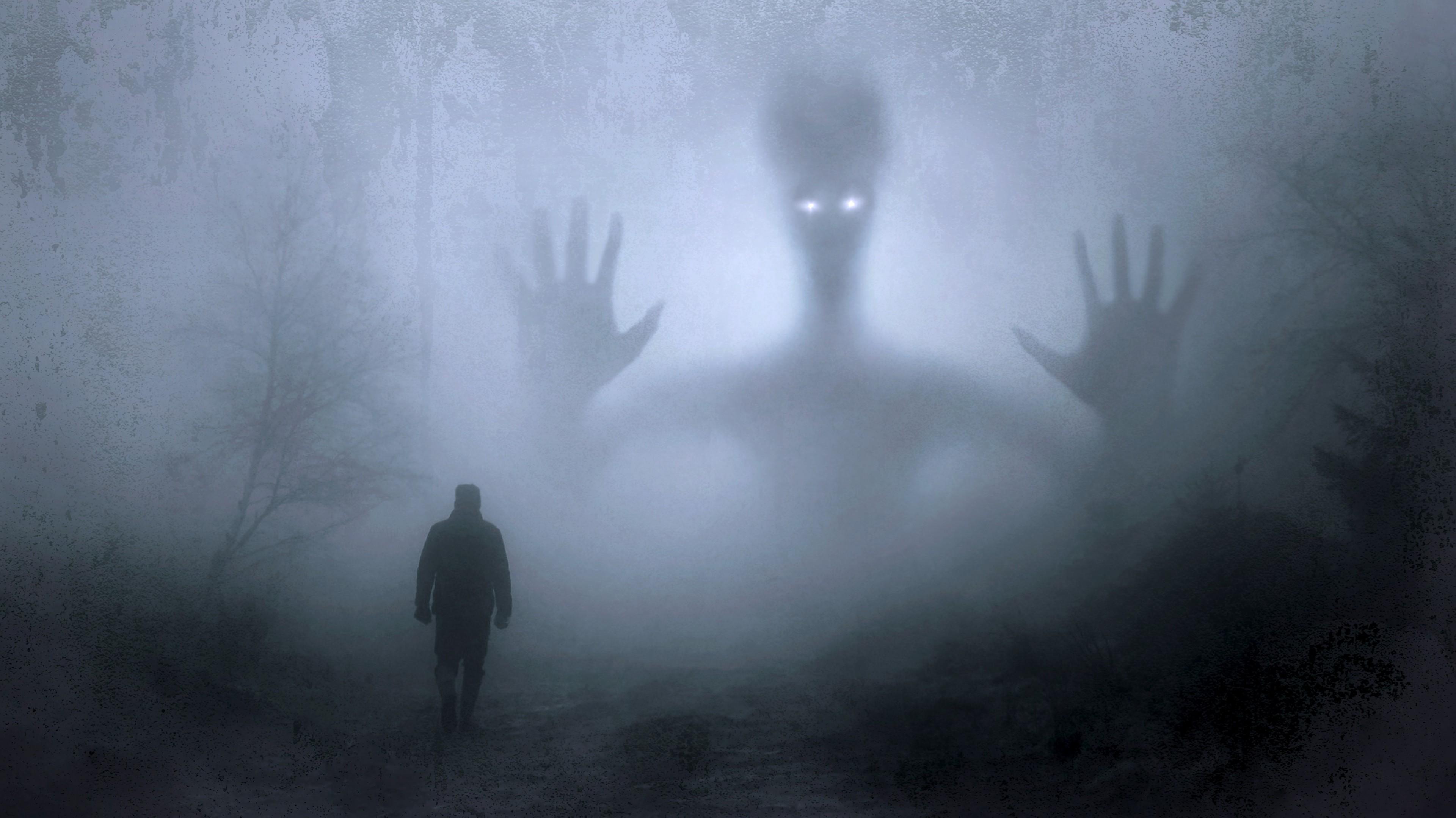 Night Walk Through Haunted Forest, Fog, Spooky Creature widescreen