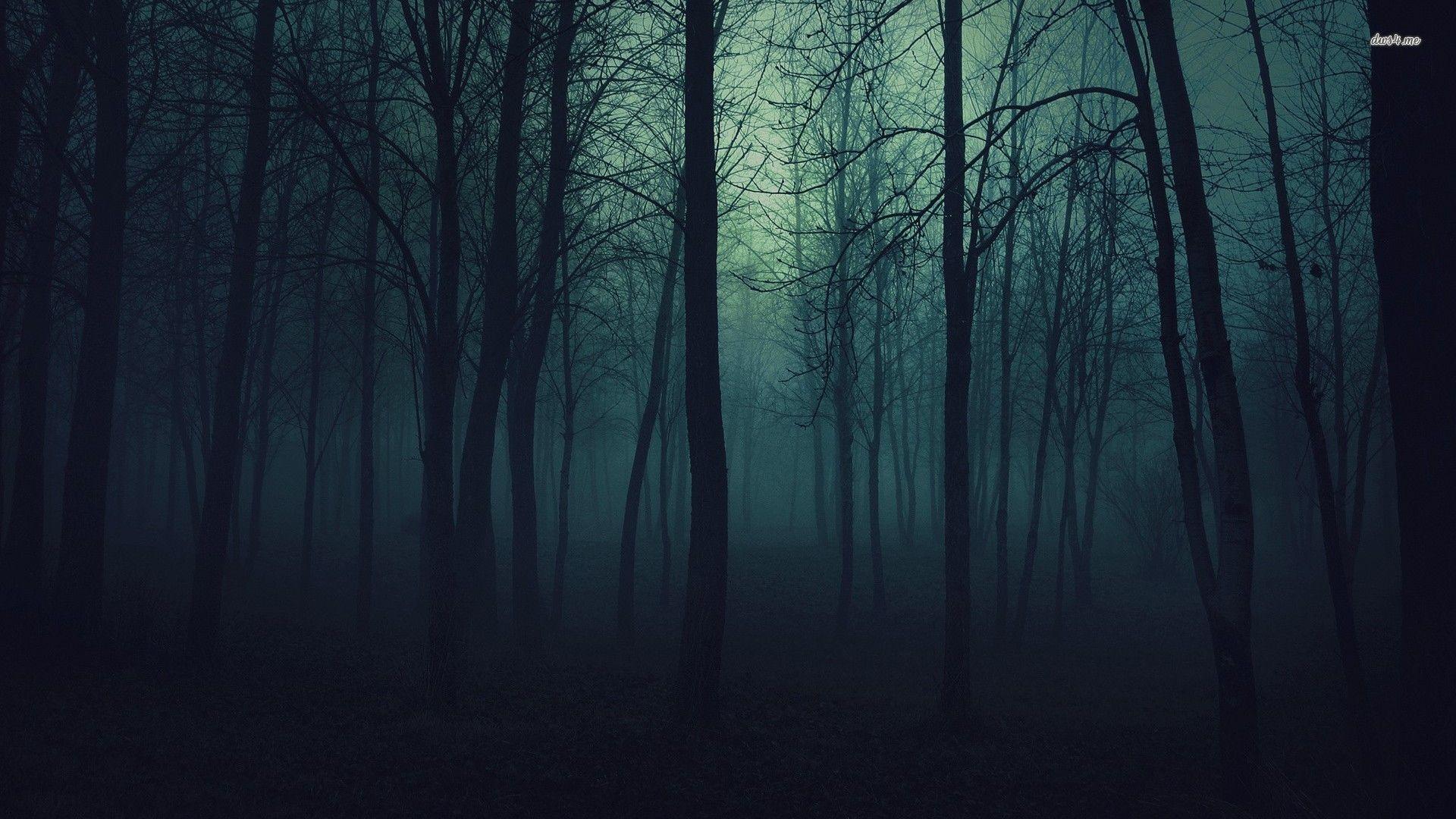 Collection of Spooky Forest Wallpaper (image in Collection)