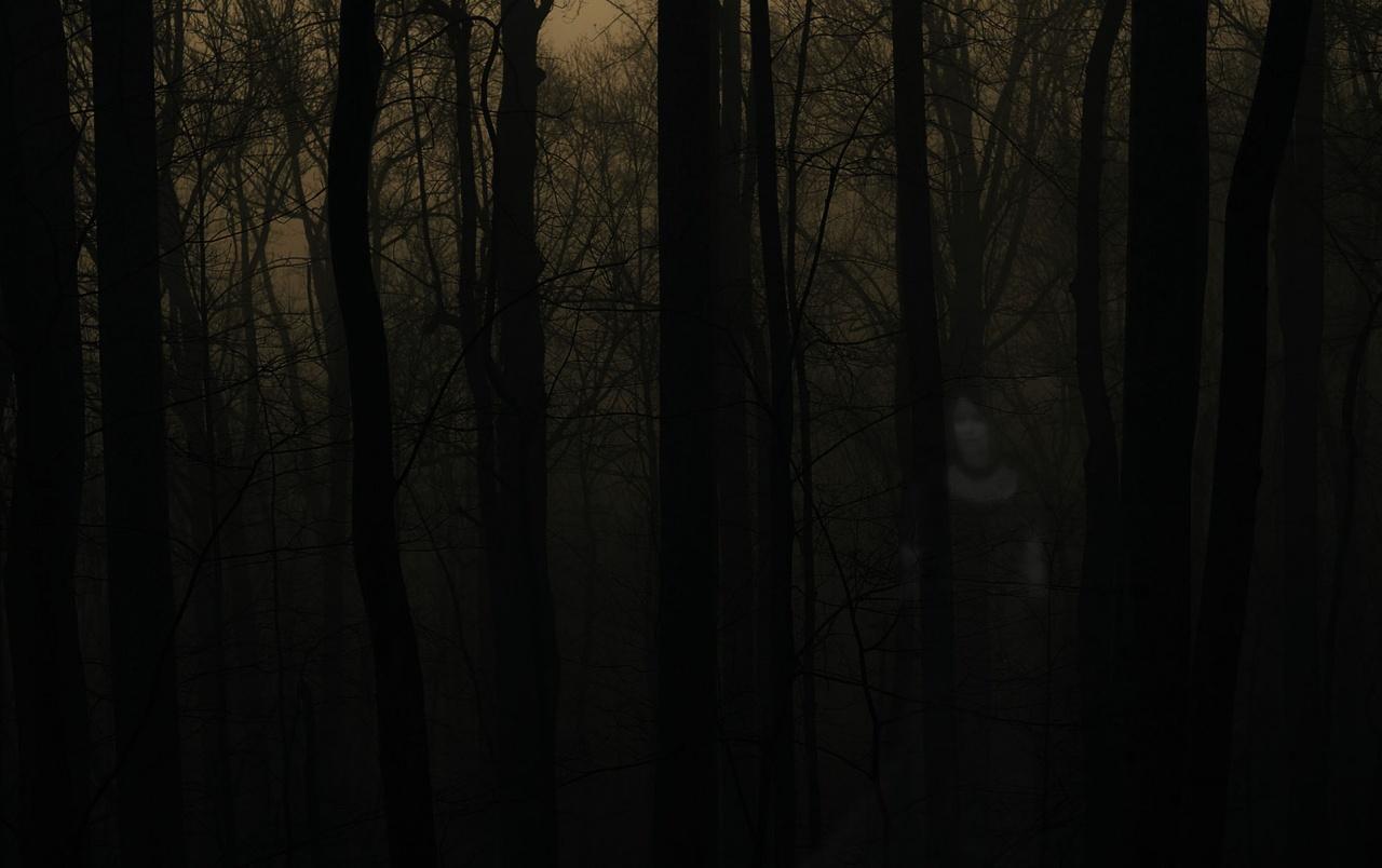 Spooky Forest Wallpapers - Wallpaper Cave
