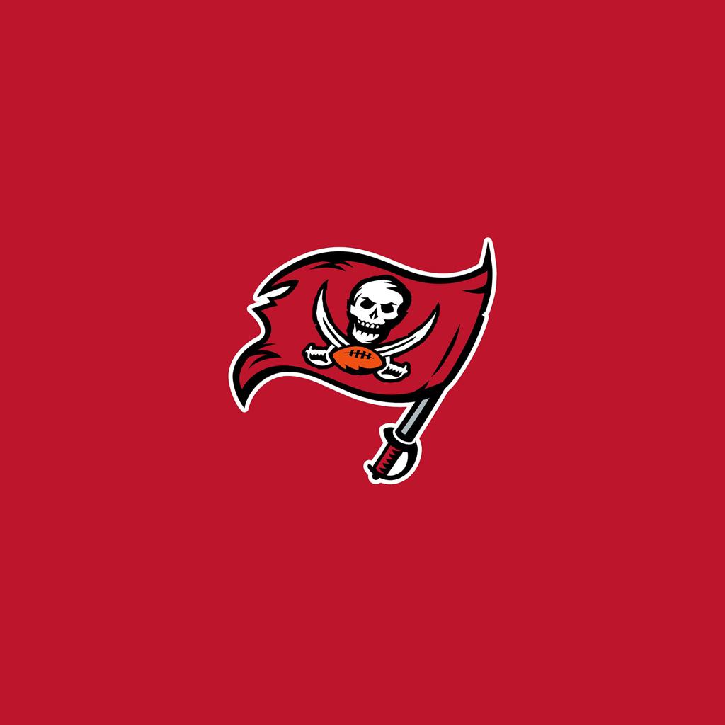 Tampa Bay Buccaneers Team Logo iPad Wallpaper