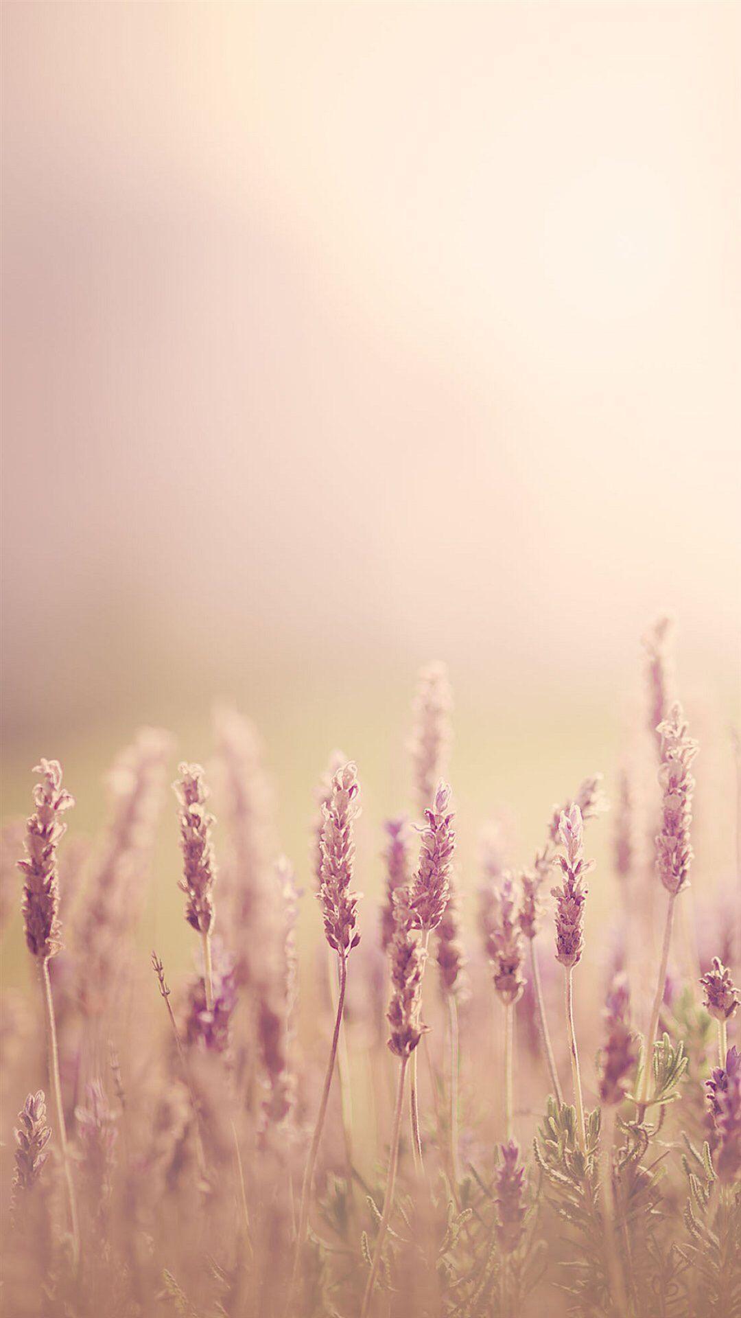 Pure Blurry Land Bokeh #iPhone #wallpaper. Forest wallpaper iphone, Flower wallpaper, Pretty wallpaper iphone