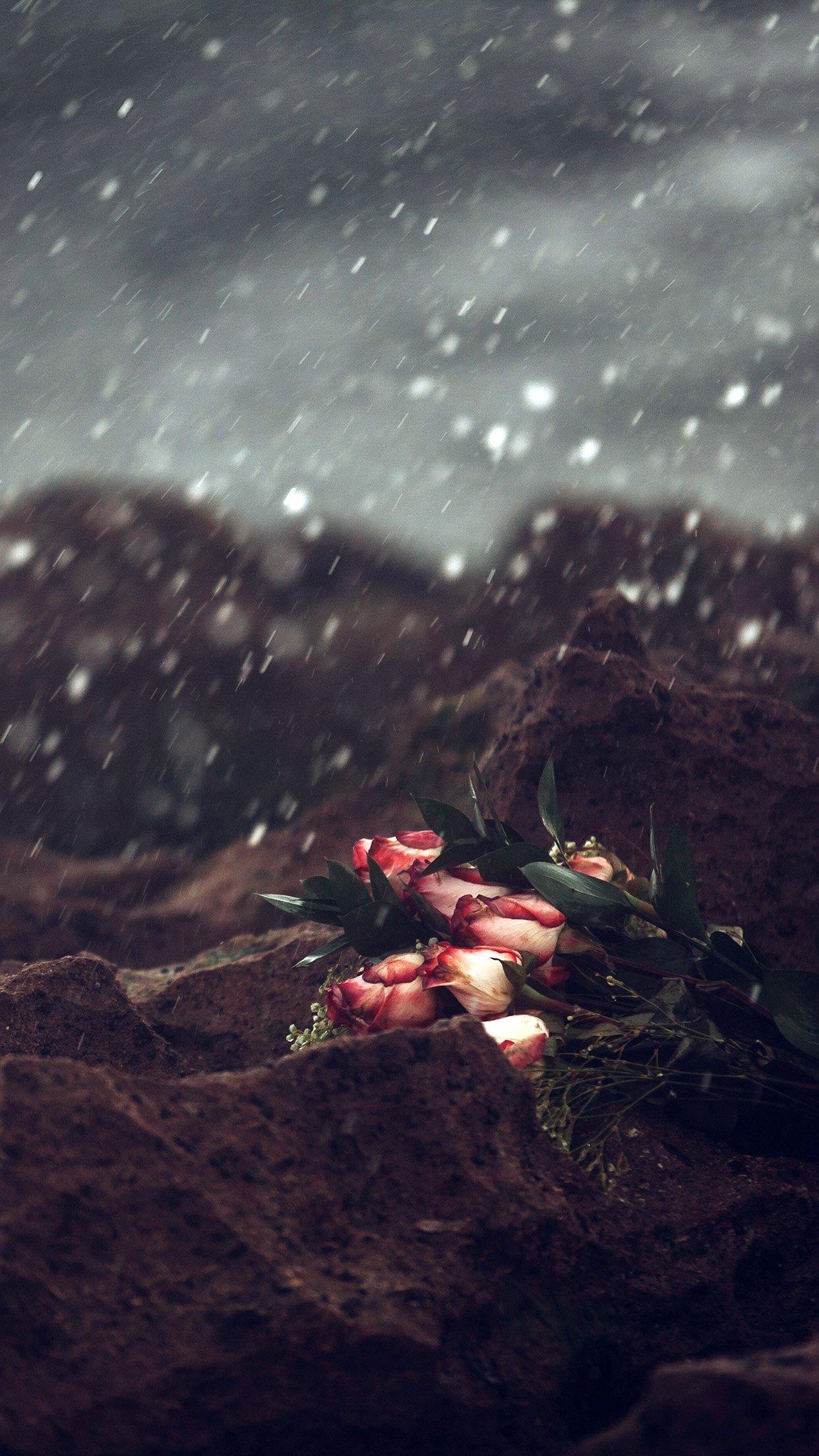 iPhone7 wallpaper. sad flower cold love