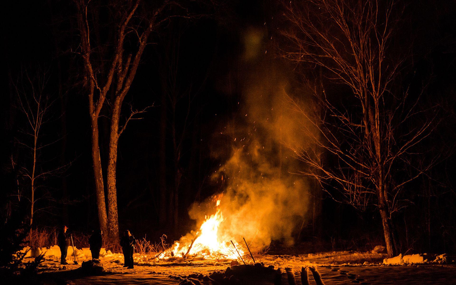 Campfire at Night Wallpaper