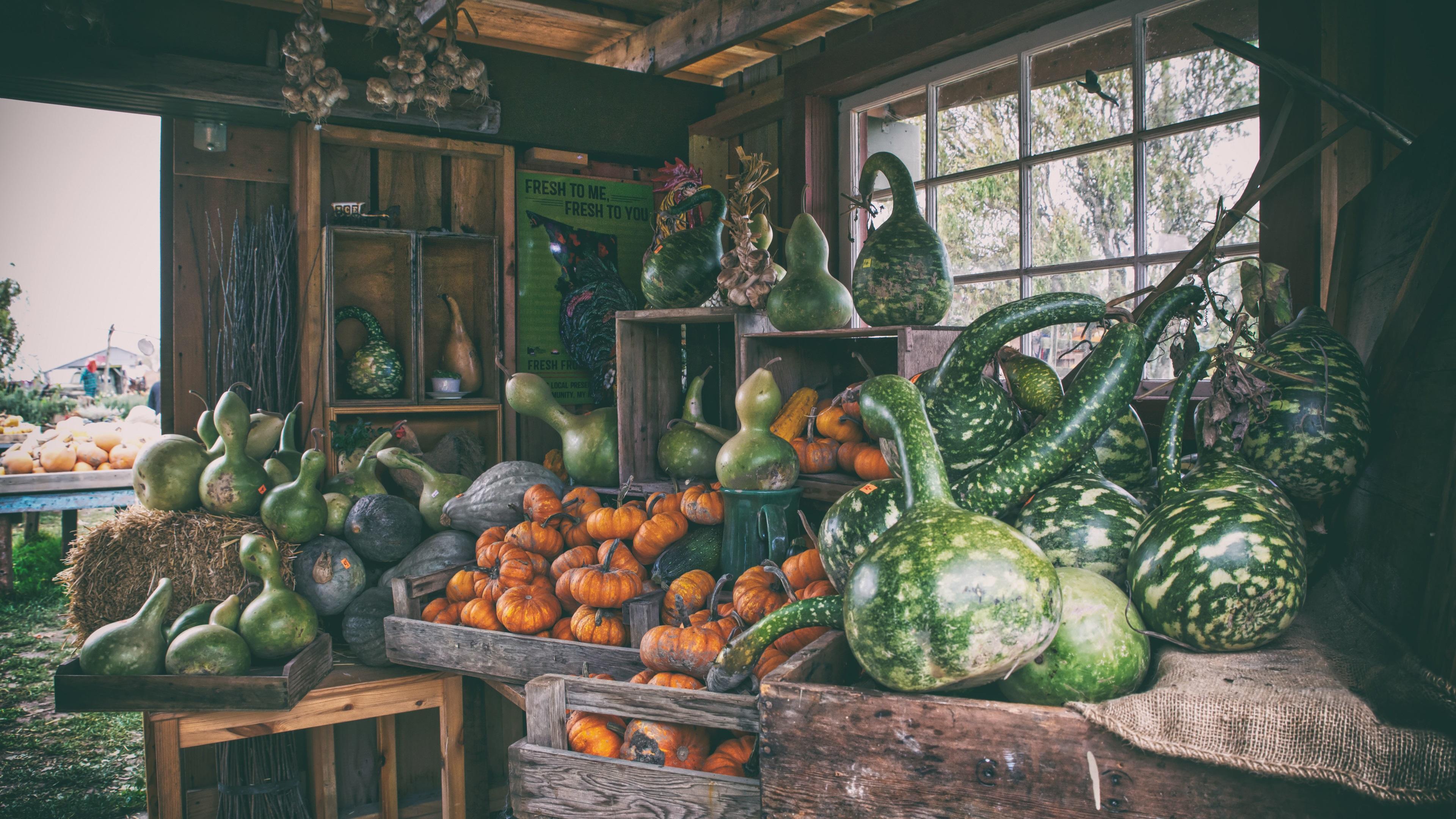 Wallpaper Harvest, pumpkin, farm 3840x2160 UHD 4K Picture, Image