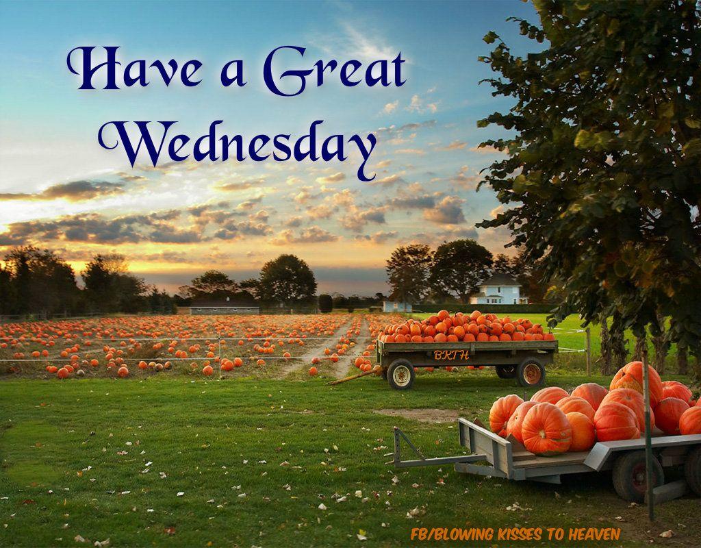 Have a great Wednesday. Days of the week. Pumpkin field, Pumpkin