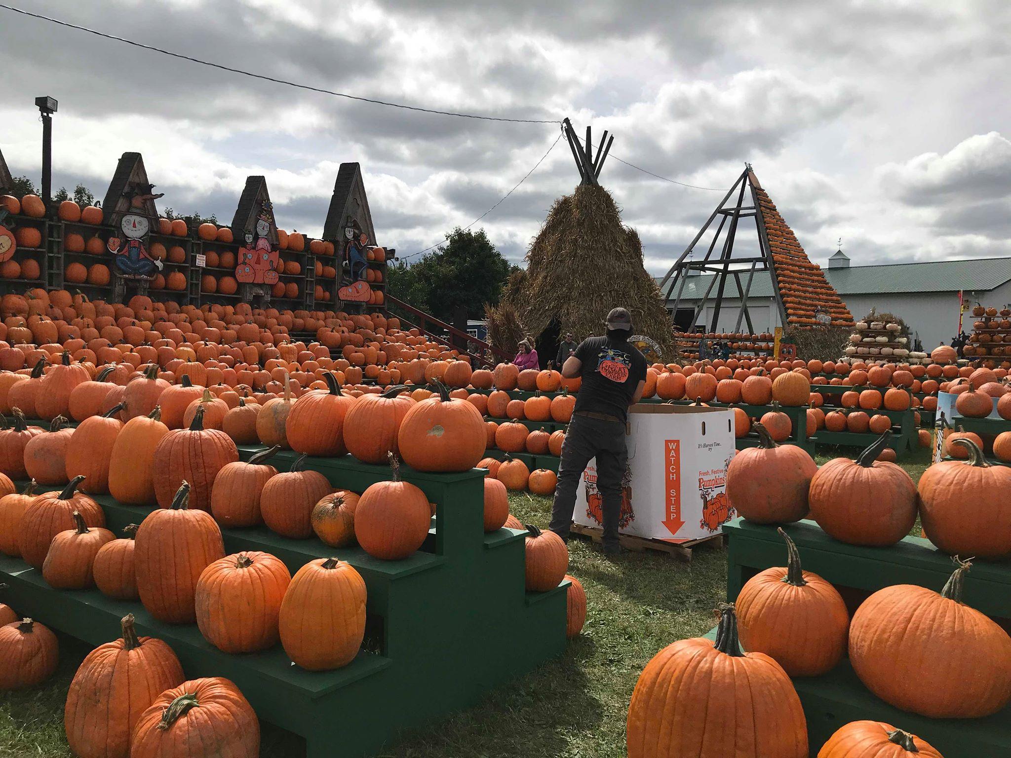 My Experience at The Great Pumpkin Farm