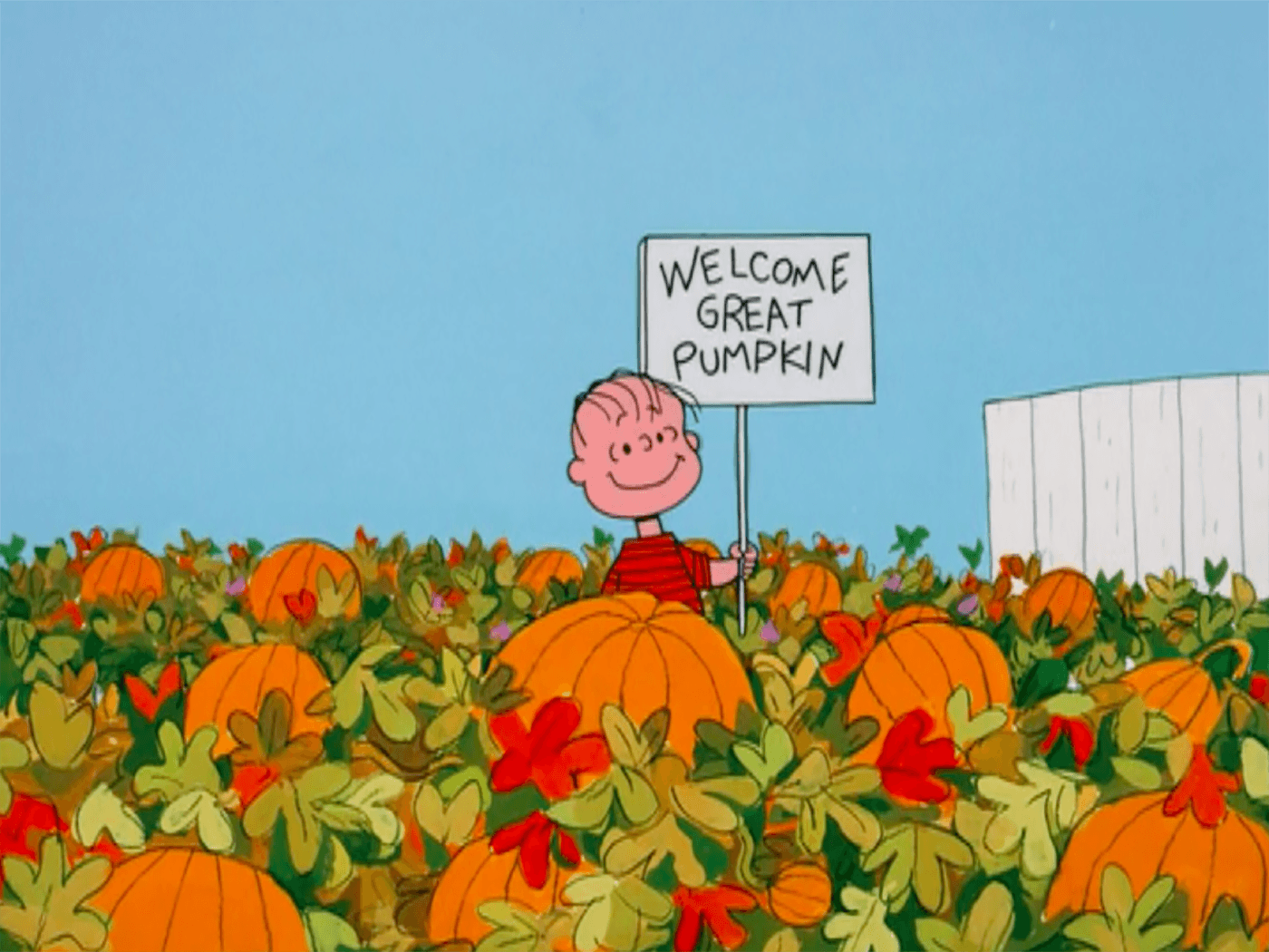 It's the Great Pumpkin, Charlie Brown is a Christmas special wearing