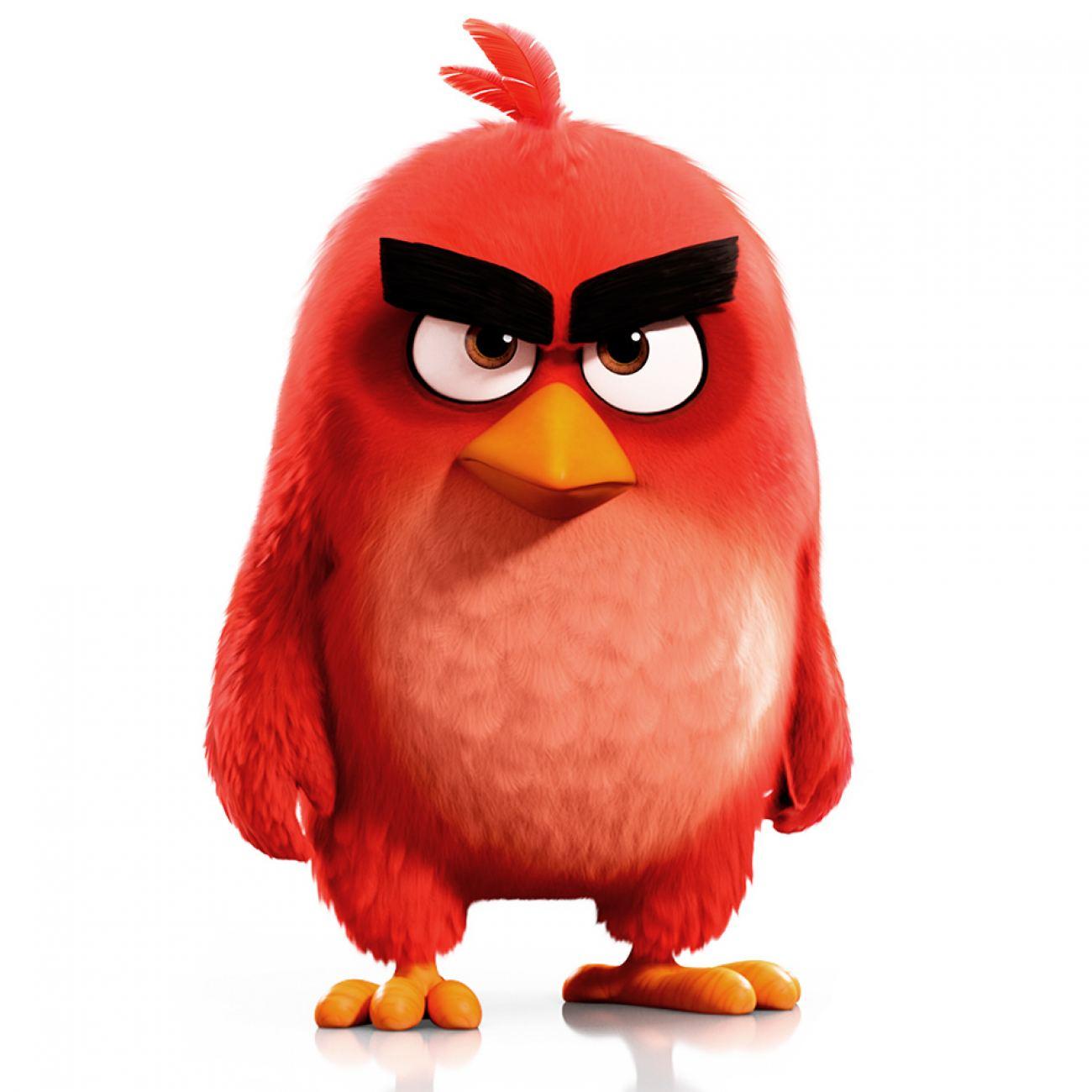 Angry Birds Red Desktop Wallpaper 26053