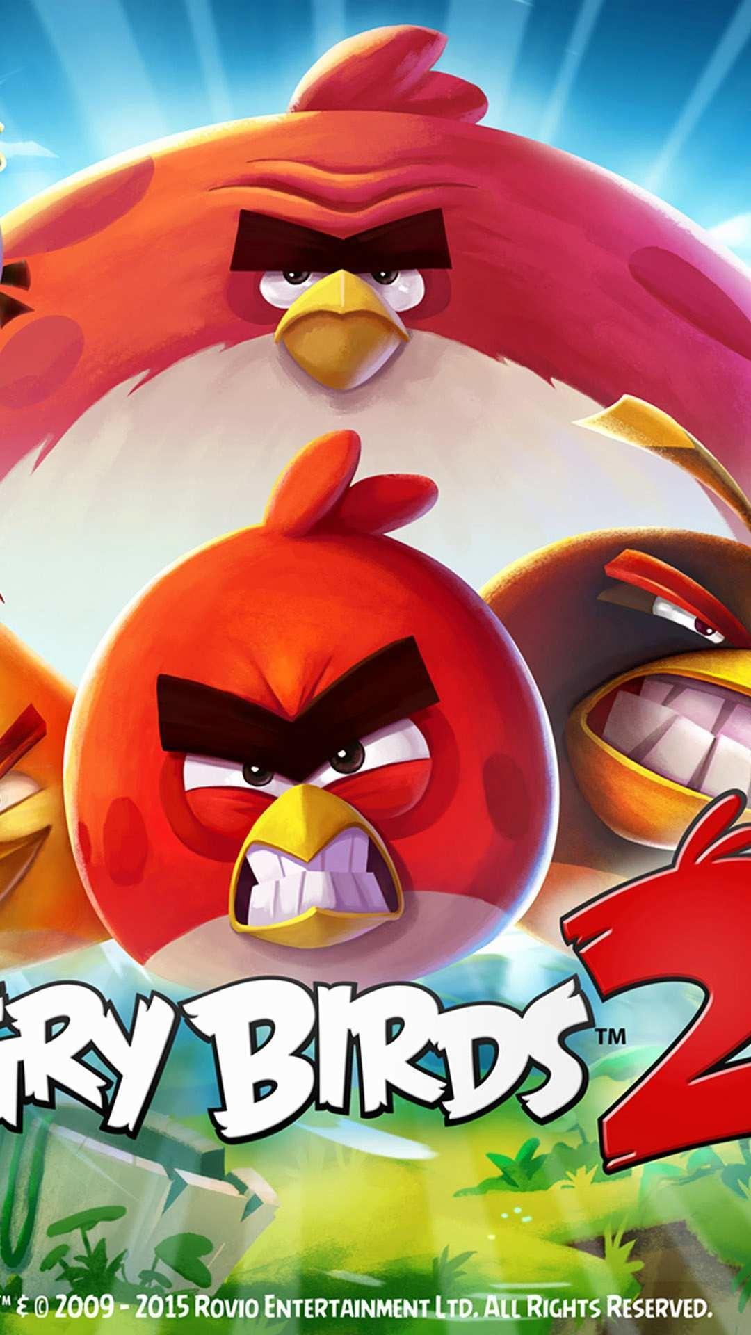 Angry Bird Wallpaper background picture