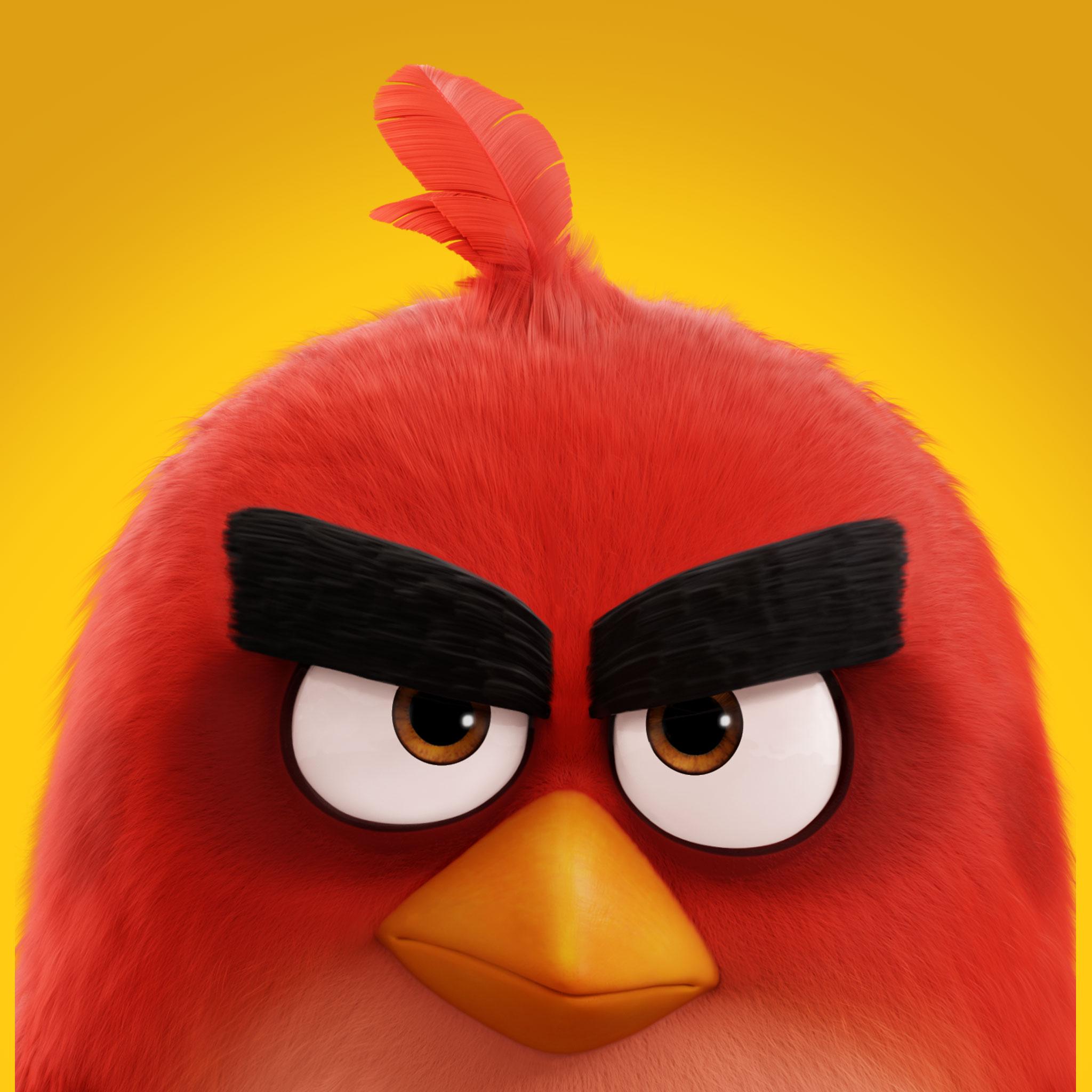 Red Angry Bird wallpaper Collection