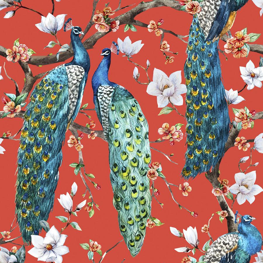 Victorian Peacock Removable Wallpaper