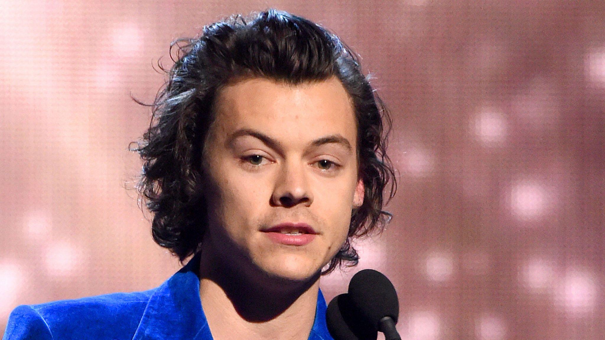 Harry Styles turns down Prince Eric role in The Little Mermaid