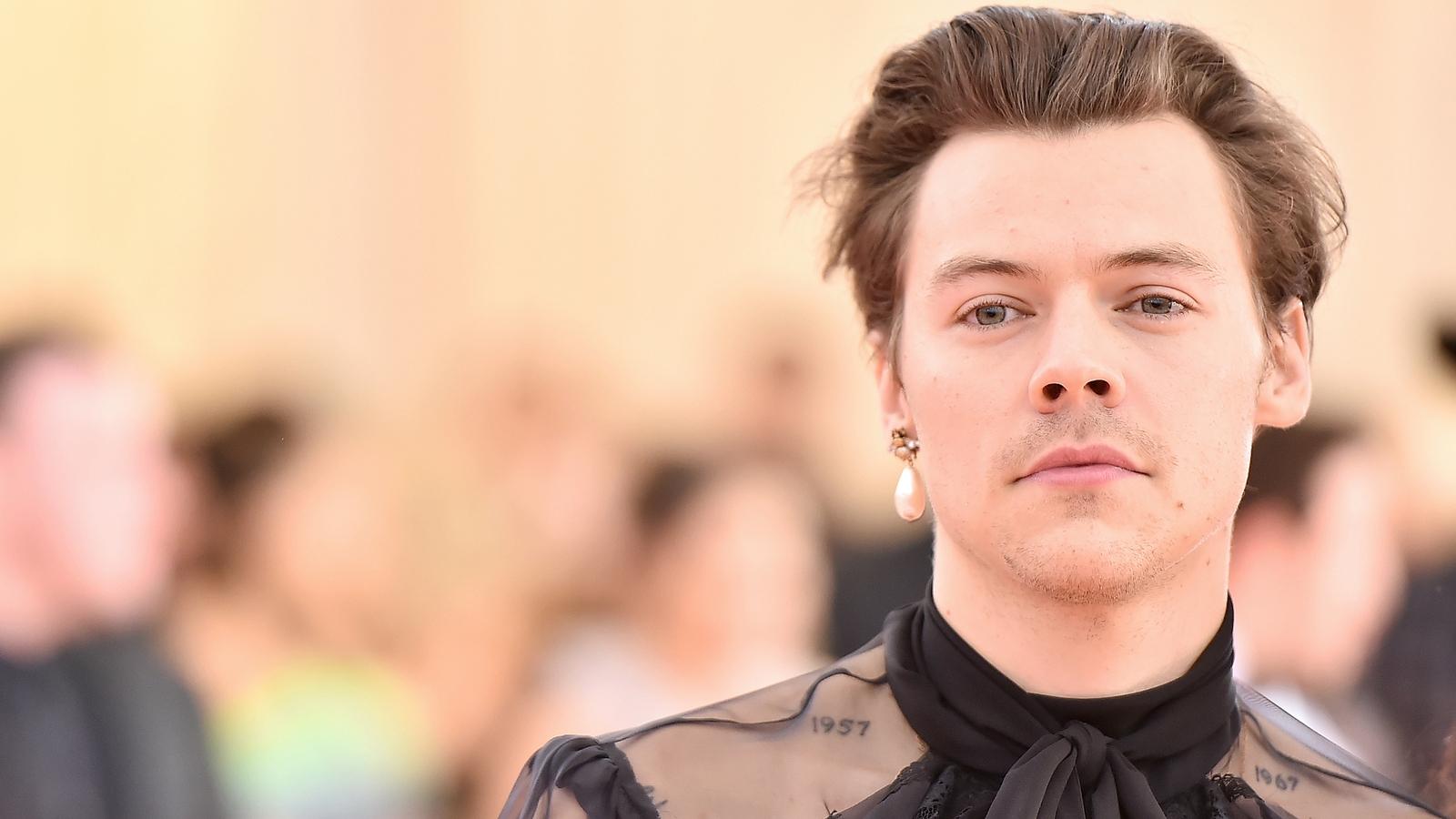 Harry Styles turns down role in Little Mermaid remake