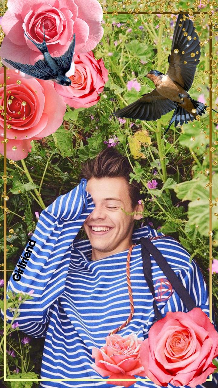 Wallpaper Wednesdays: Harry Styles is this week's star