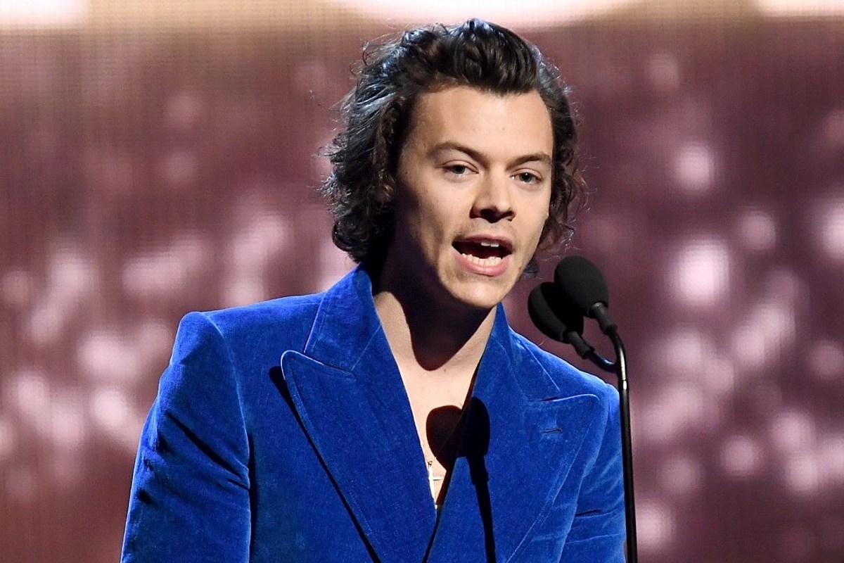Harry Styles Reportedly Turned Down the Role of Prince Eric in 'The