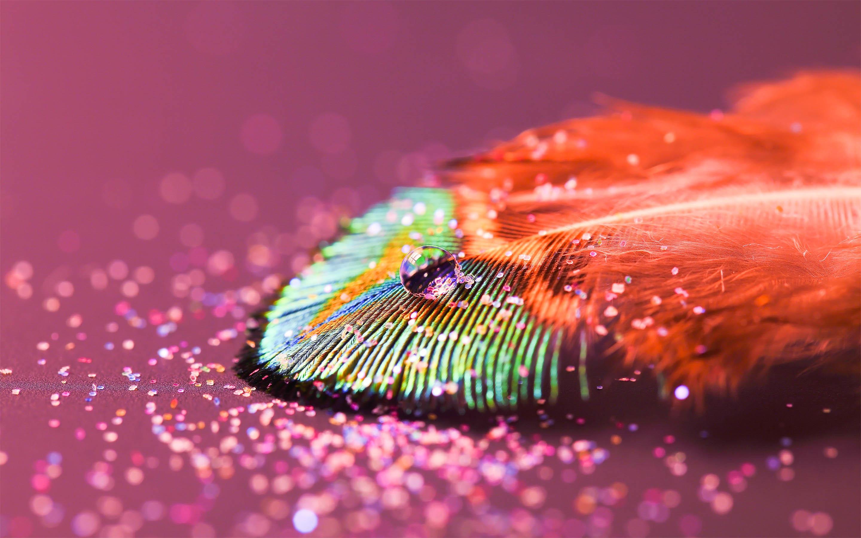 Peacock Feather Wallpaper