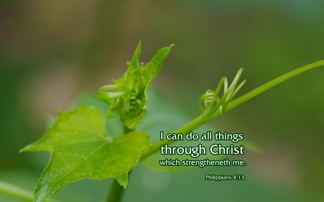 Philippians 4:13 Nature & Bible Desktop Background / Wallpaper