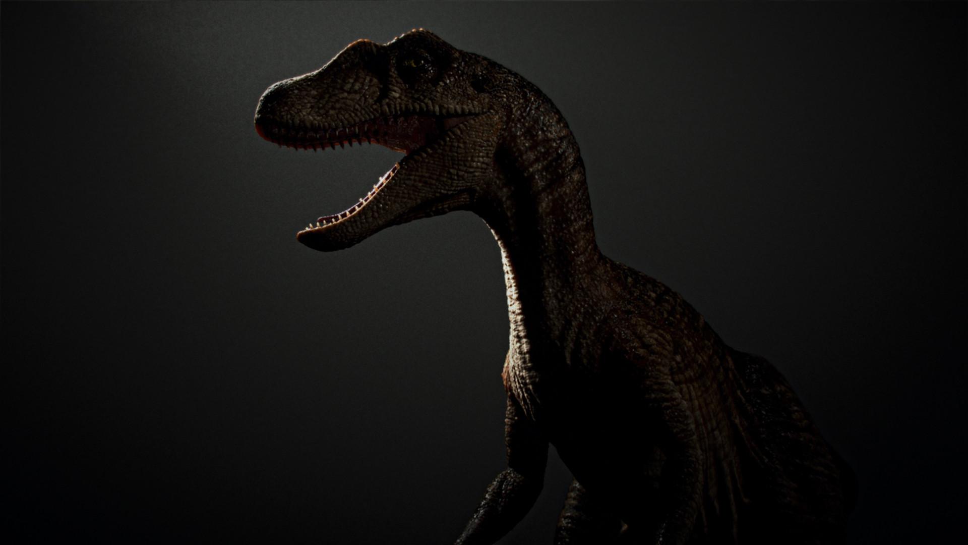 Raptor for Canal commercial, Robert Pashayan
