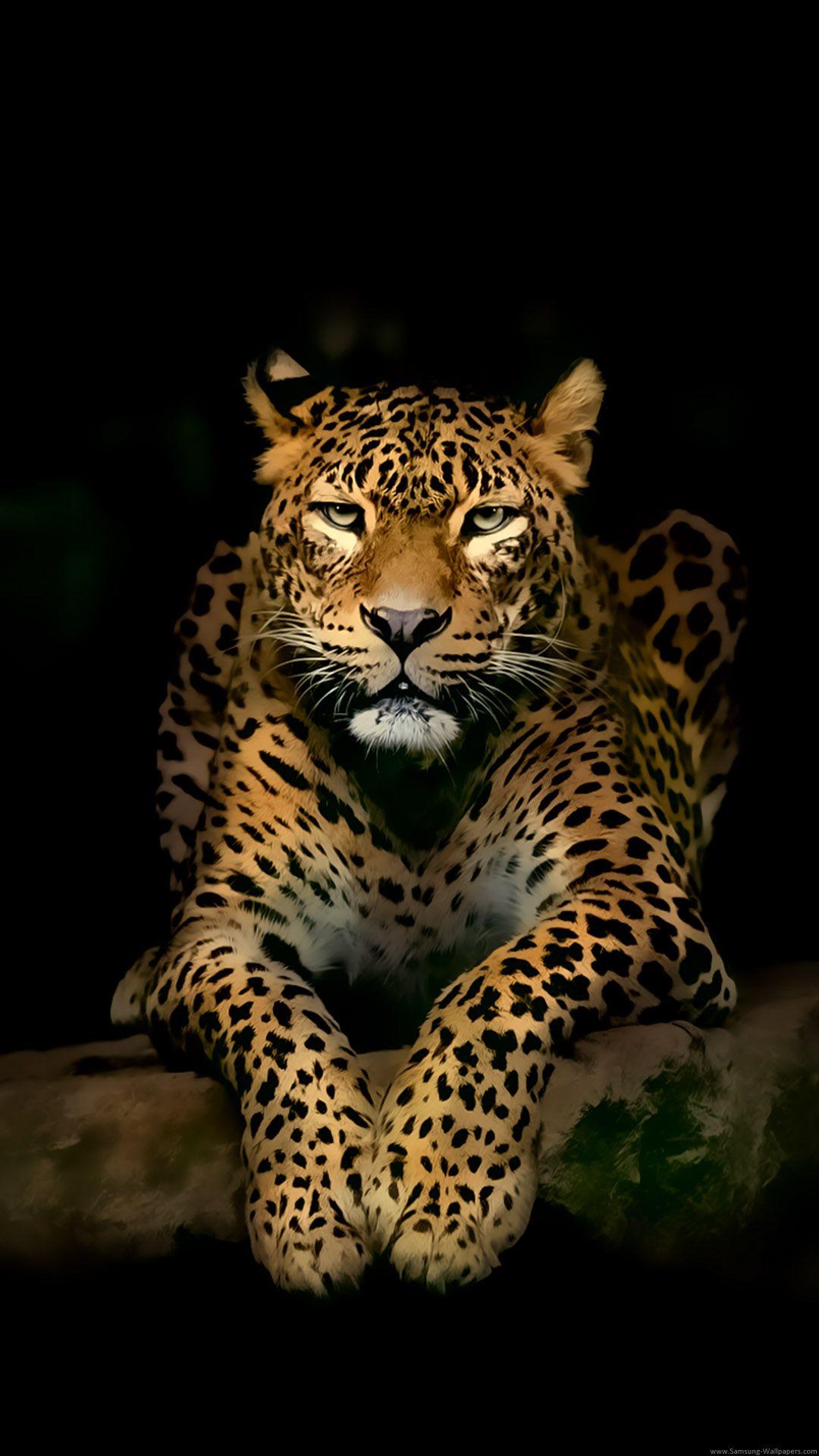 Serious Leopard Lockscreen preview and download. Animals