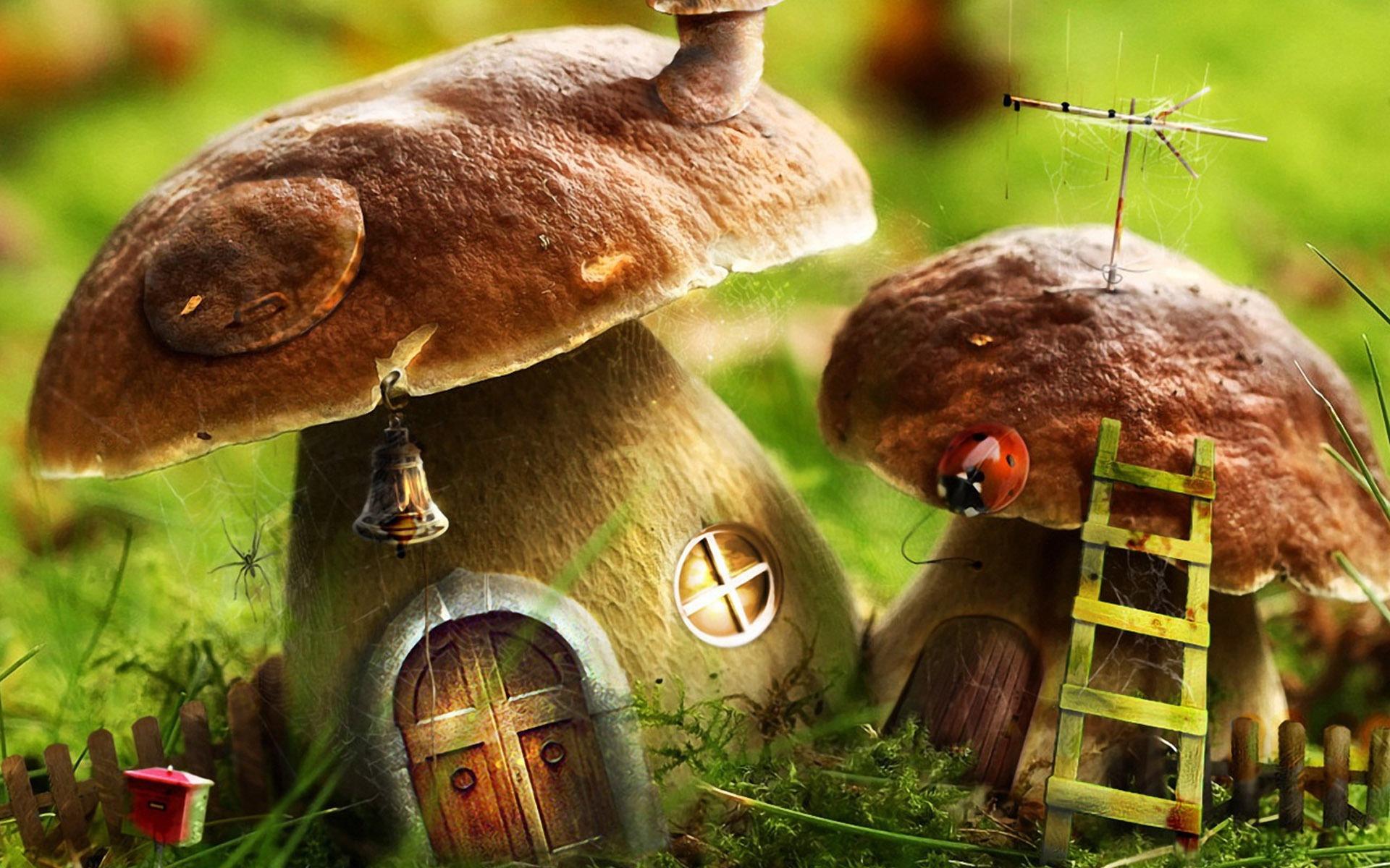 Mushrooms House Wallpaper Photo Manipulated Nature Wallpaper in jpg