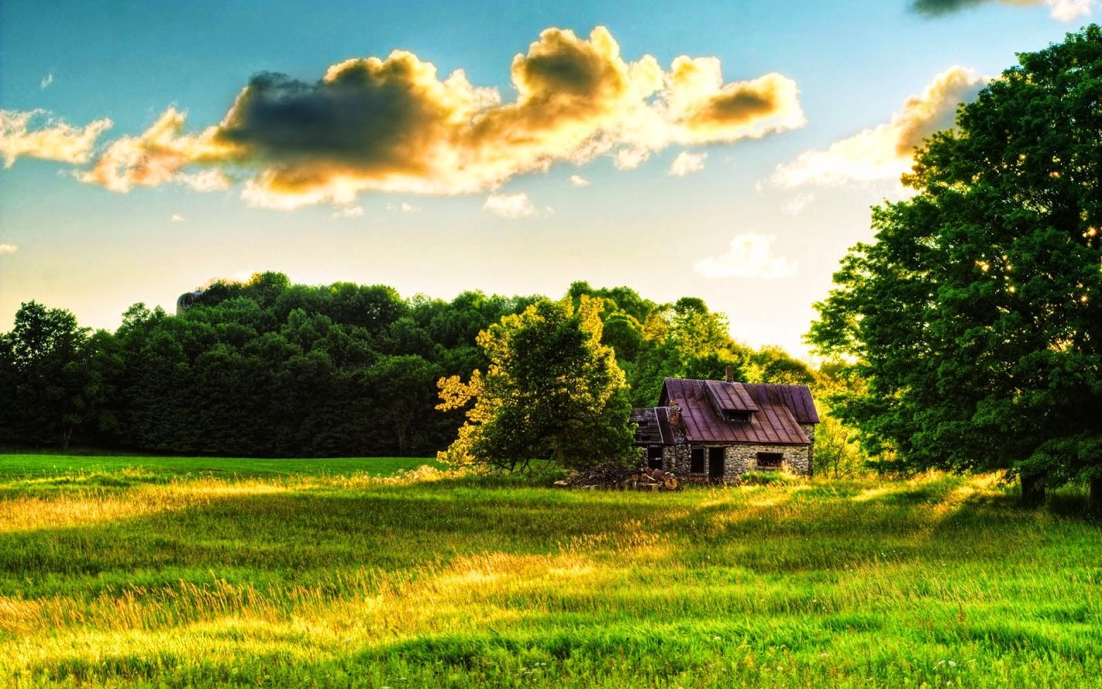 Small, Cottage, In, The, Middle, Of, The, Nature, Relaxing, Time