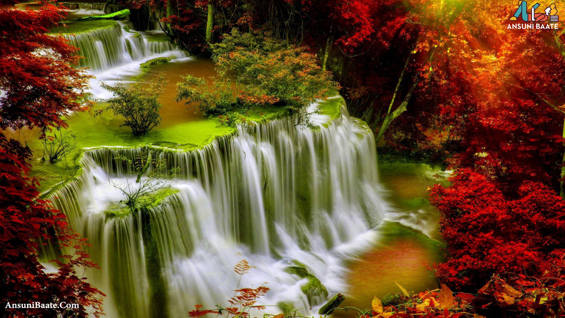 Nature Wallpaper Full HD Gallery Image Photo Free Download