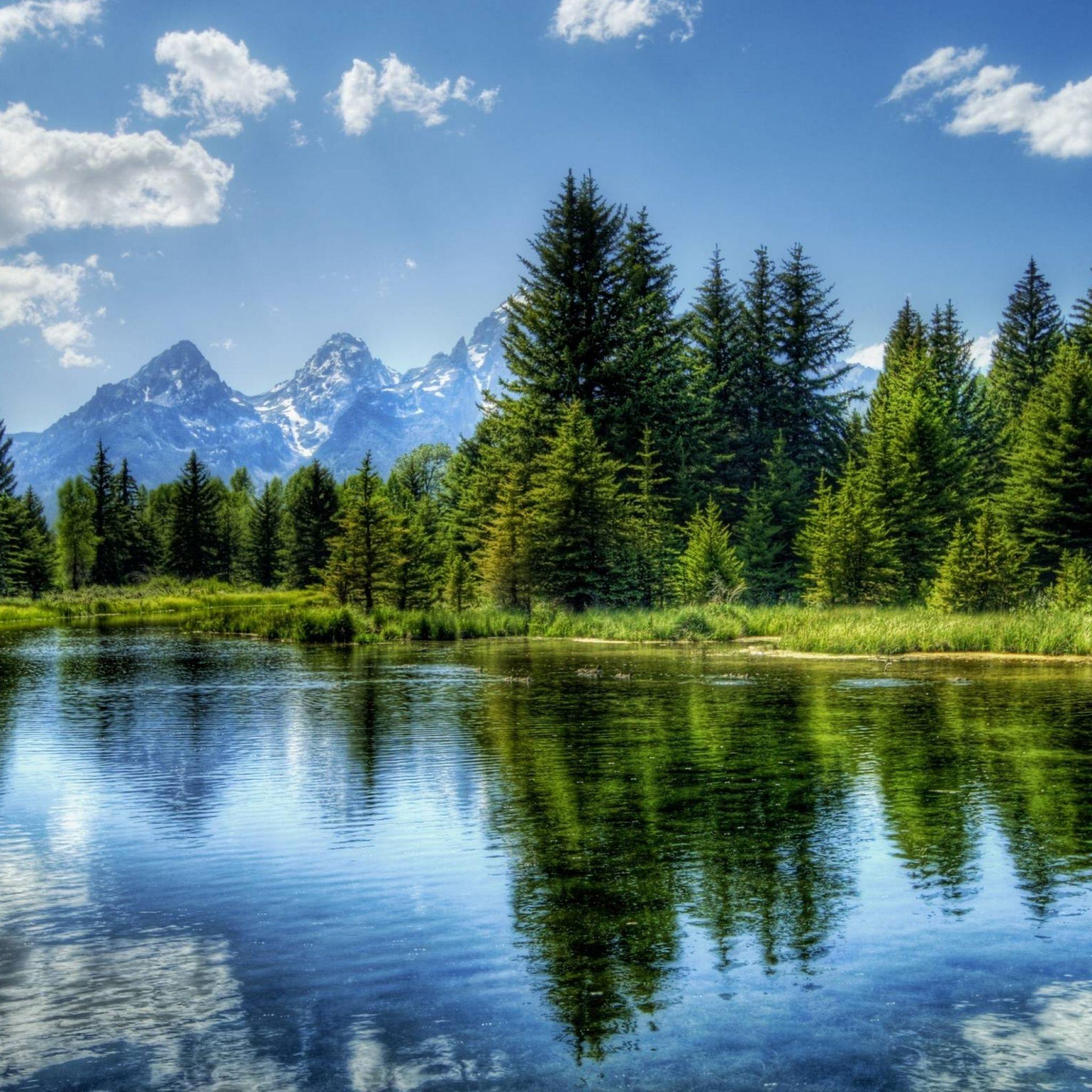 Wallpaper lake, mountain, tree, water, landscape