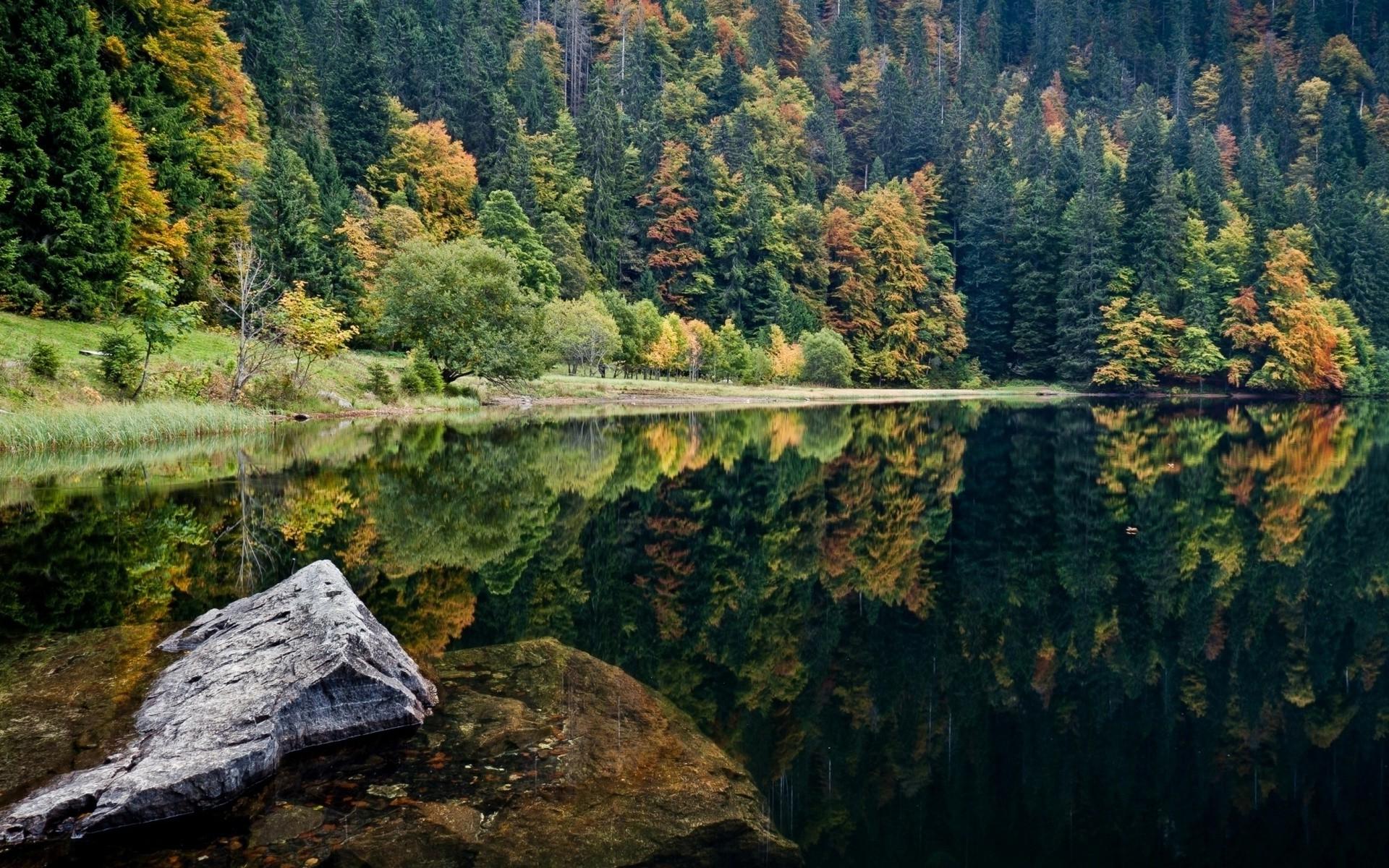 nature, Trees, Lake, Rock Wallpaper HD / Desktop and Mobile Background