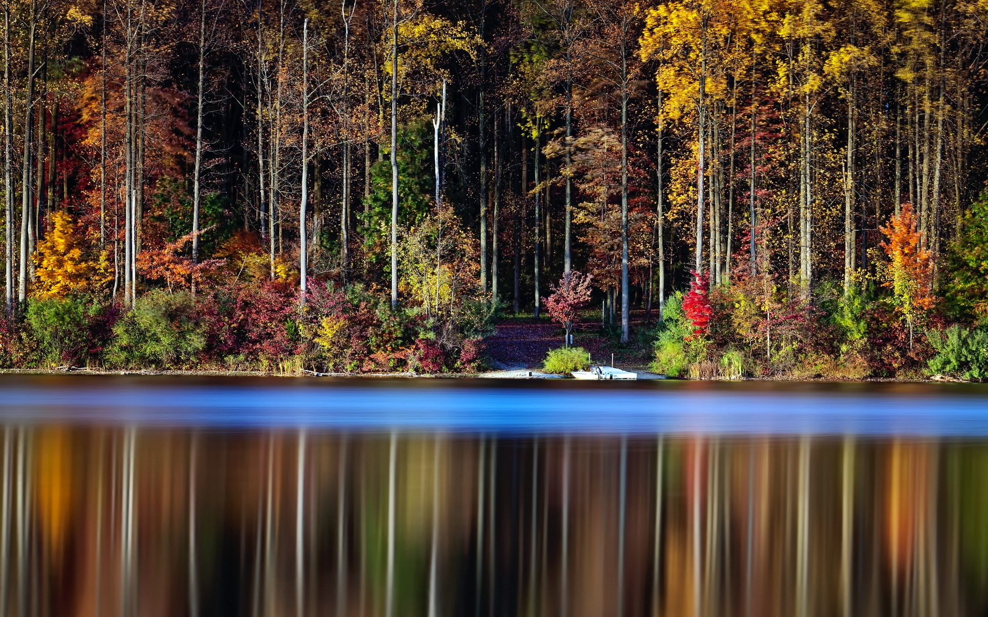 Autumn Trees Lak HD Wallpaper, Background Image