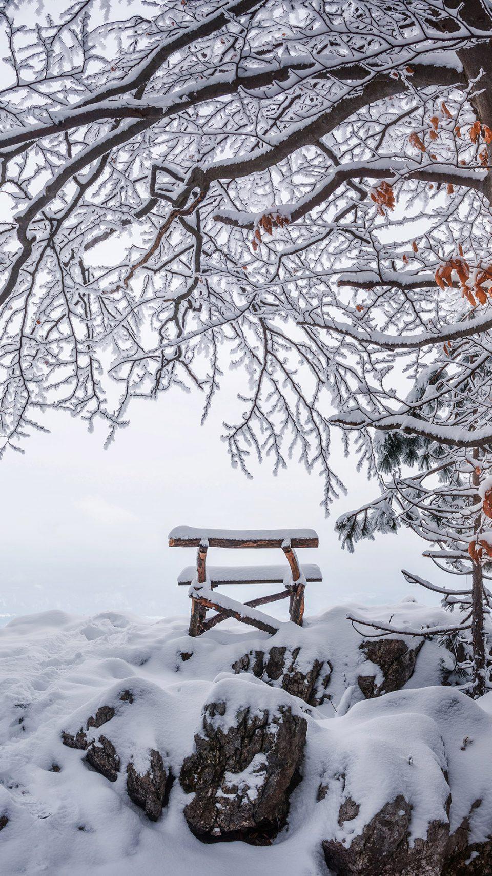 Winter Snow Colorful Tree Scenery 4K Wallpaper iPhone HD Phone #5471n