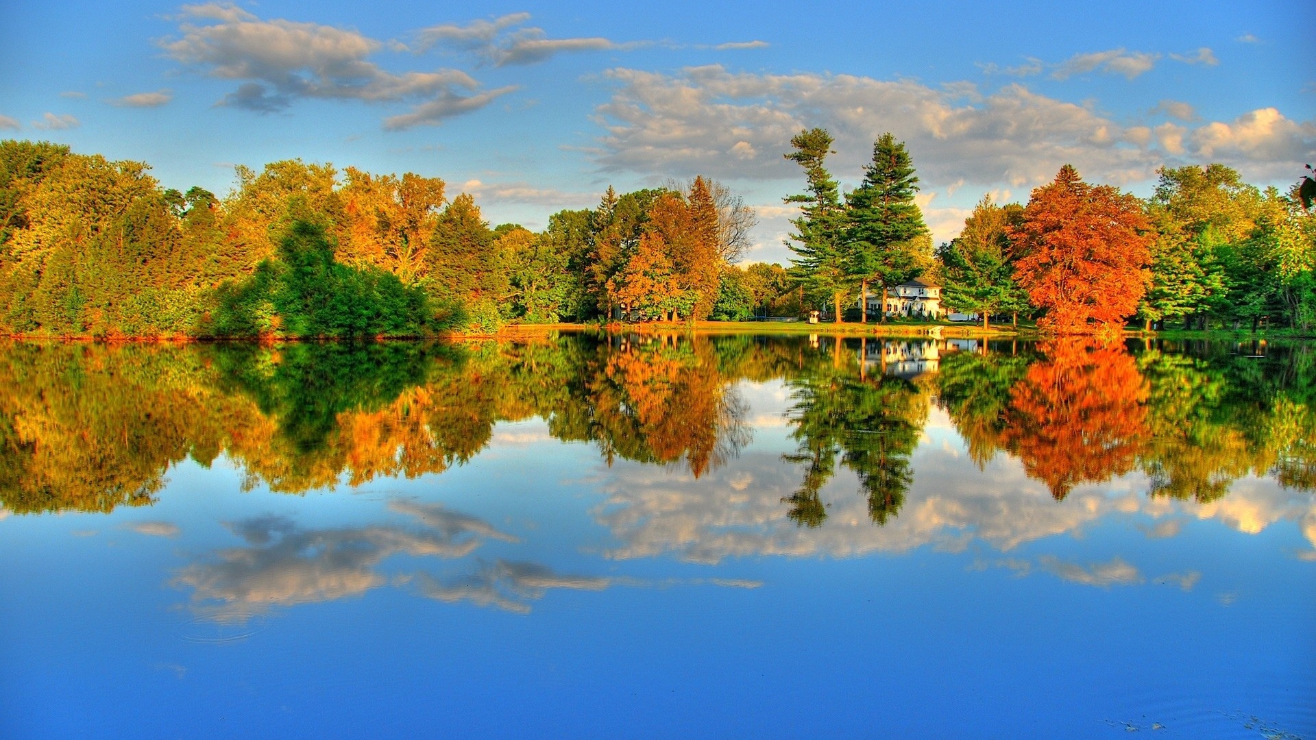 Lake Water Reflection Trees Autumn Wallpaper