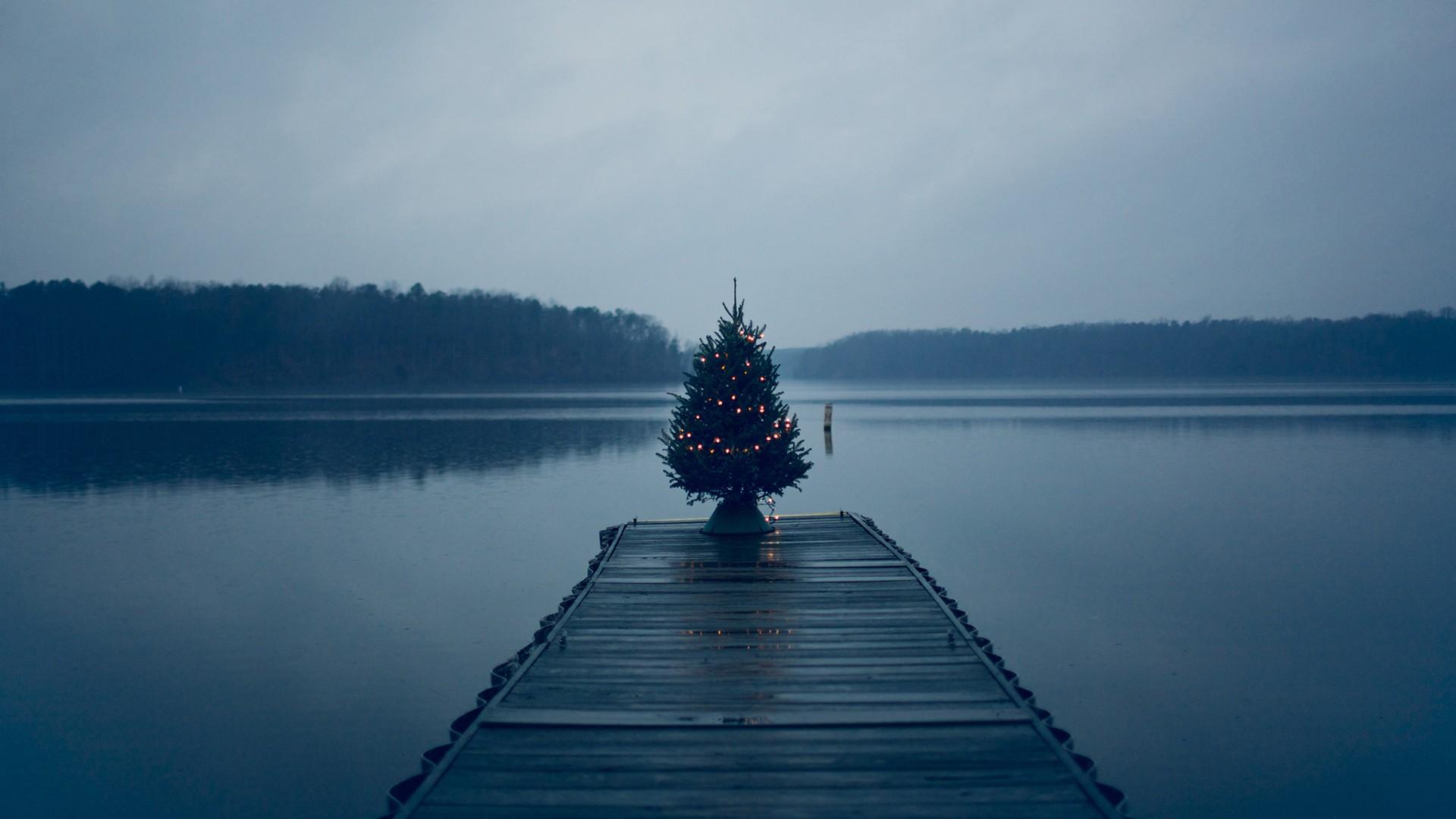 Christmas tree on a lake [1920x1080]