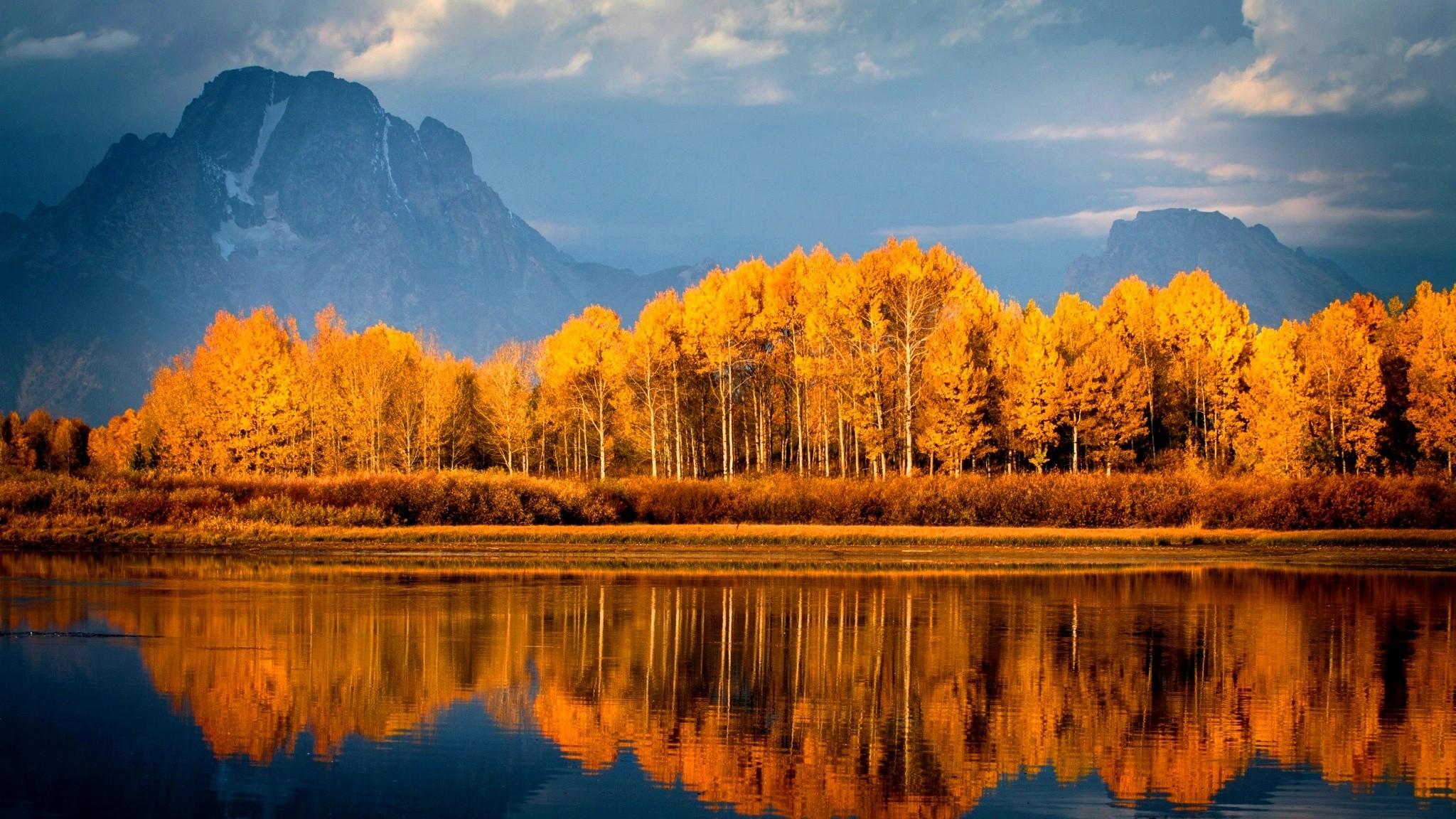 Autumn Trees On Lake, HD Nature, 4k Wallpaper, Image, Background