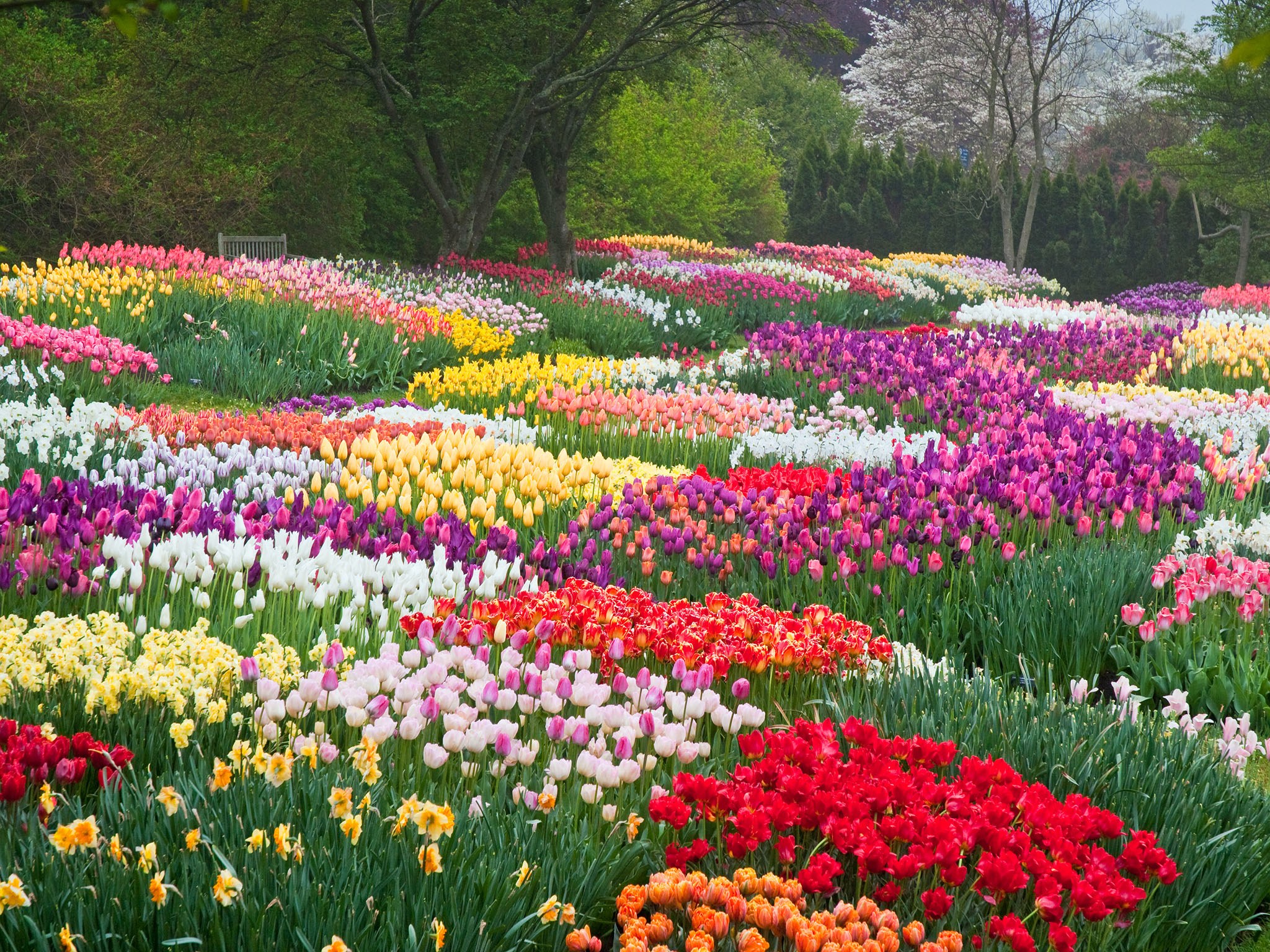 Blooming Gardens Wallpapers Wallpaper Cave